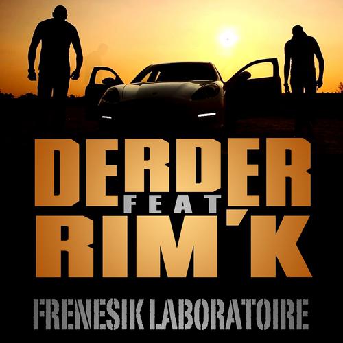 Постер альбома Frenesik laboratoire