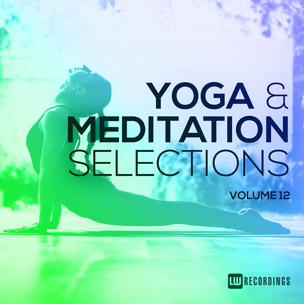 Постер альбома Yoga & Meditation Selections, Vol. 12