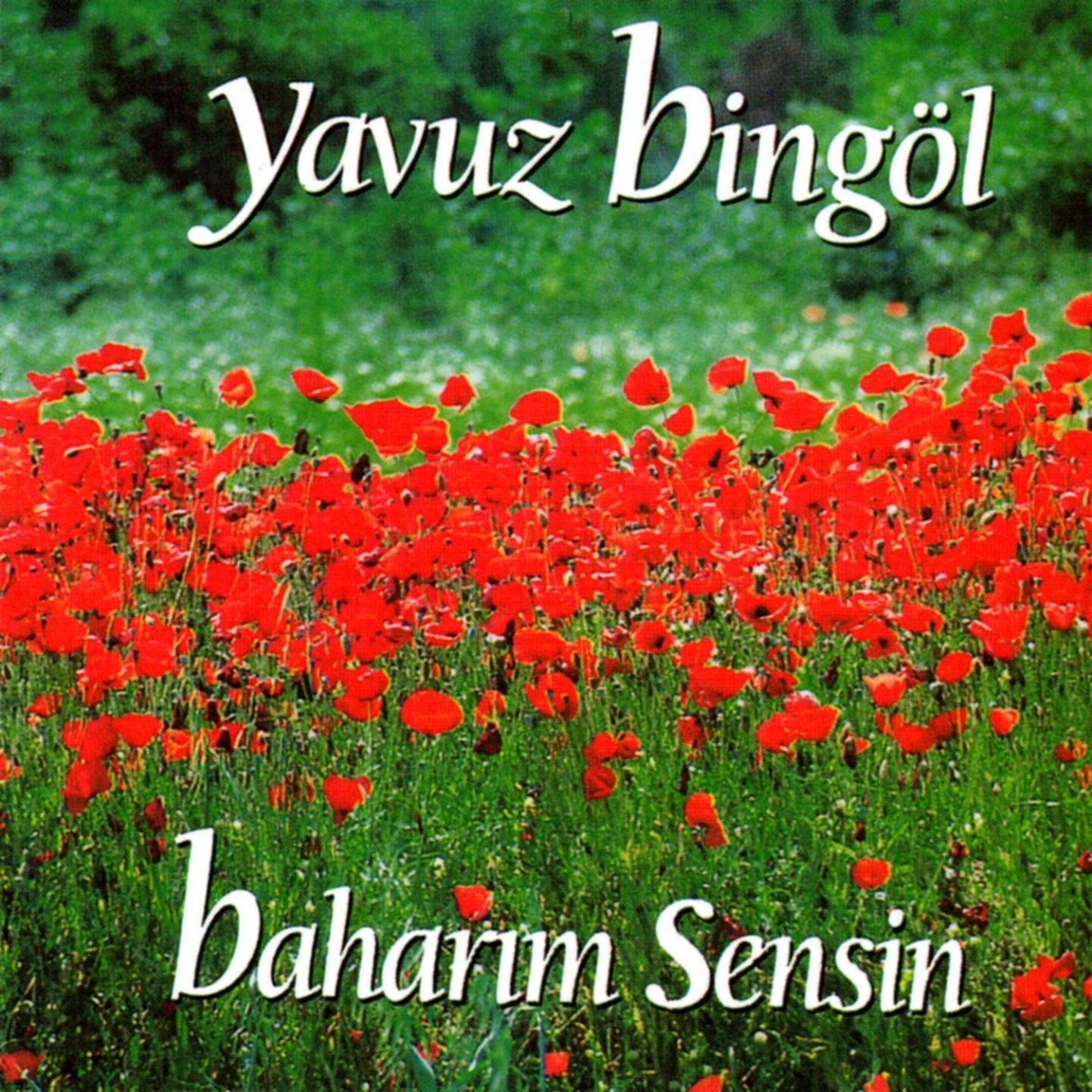 Постер альбома Baharım Sensin