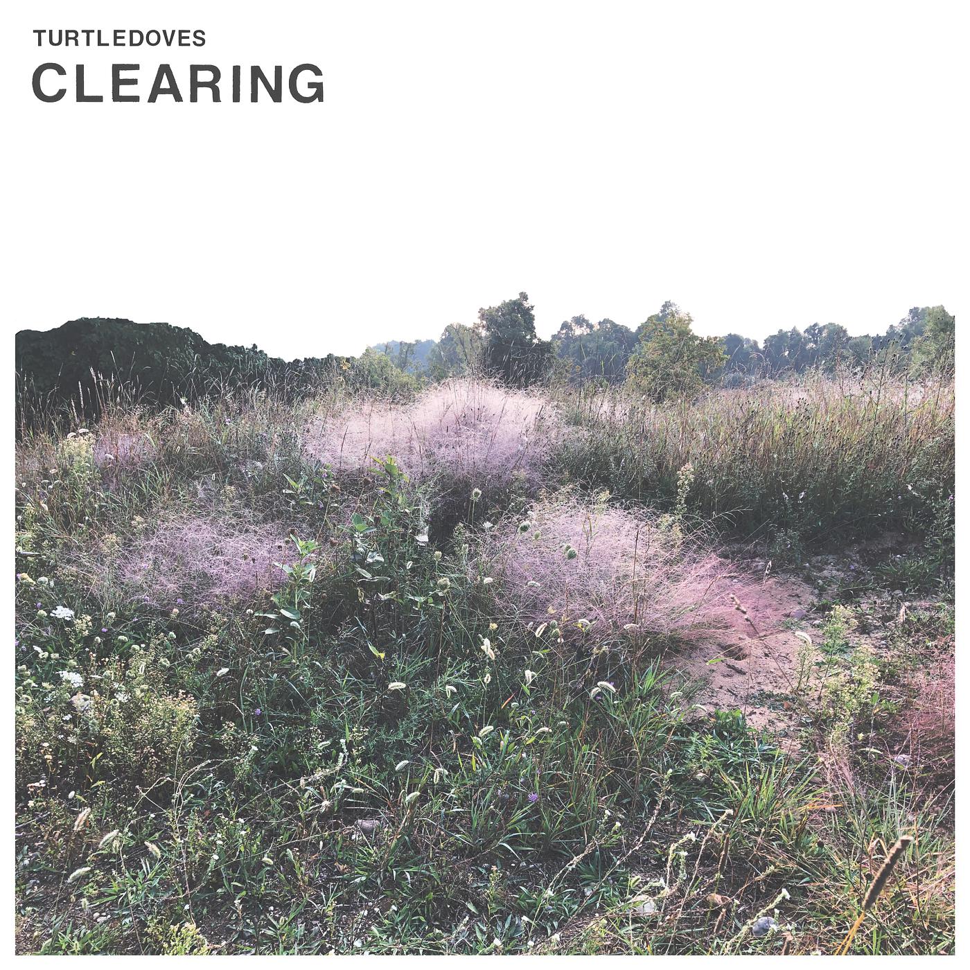 Постер альбома Clearing