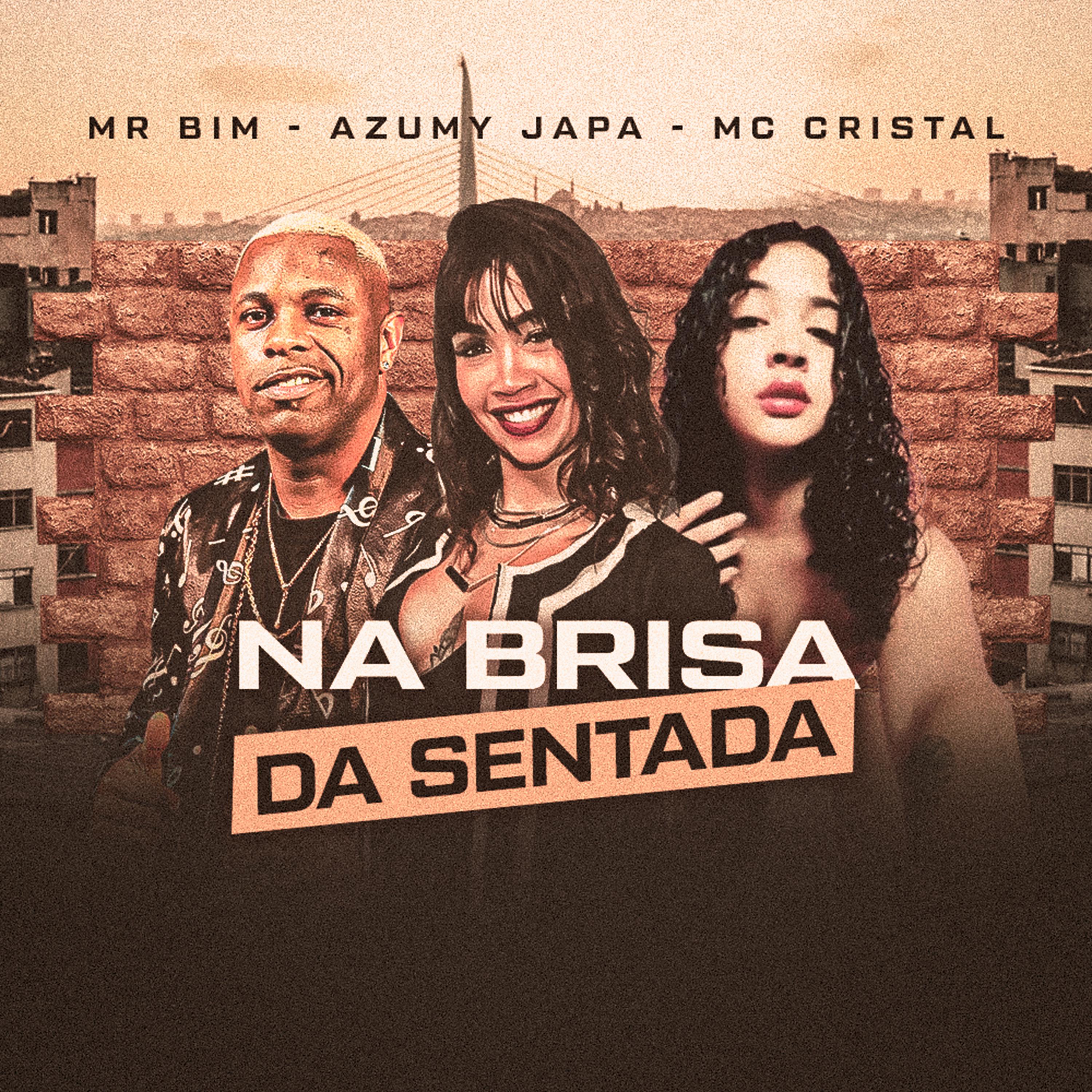 Постер альбома Na Brisa da Sentada