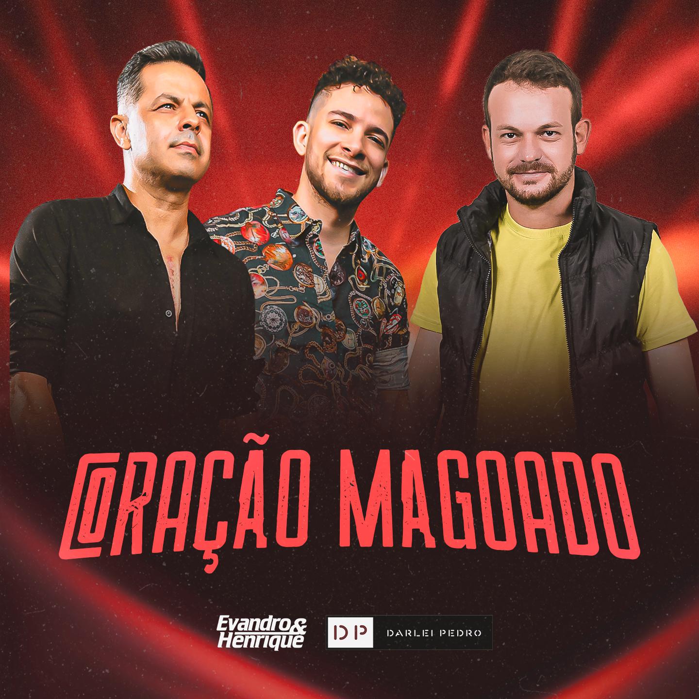 Постер альбома Coração Magoado