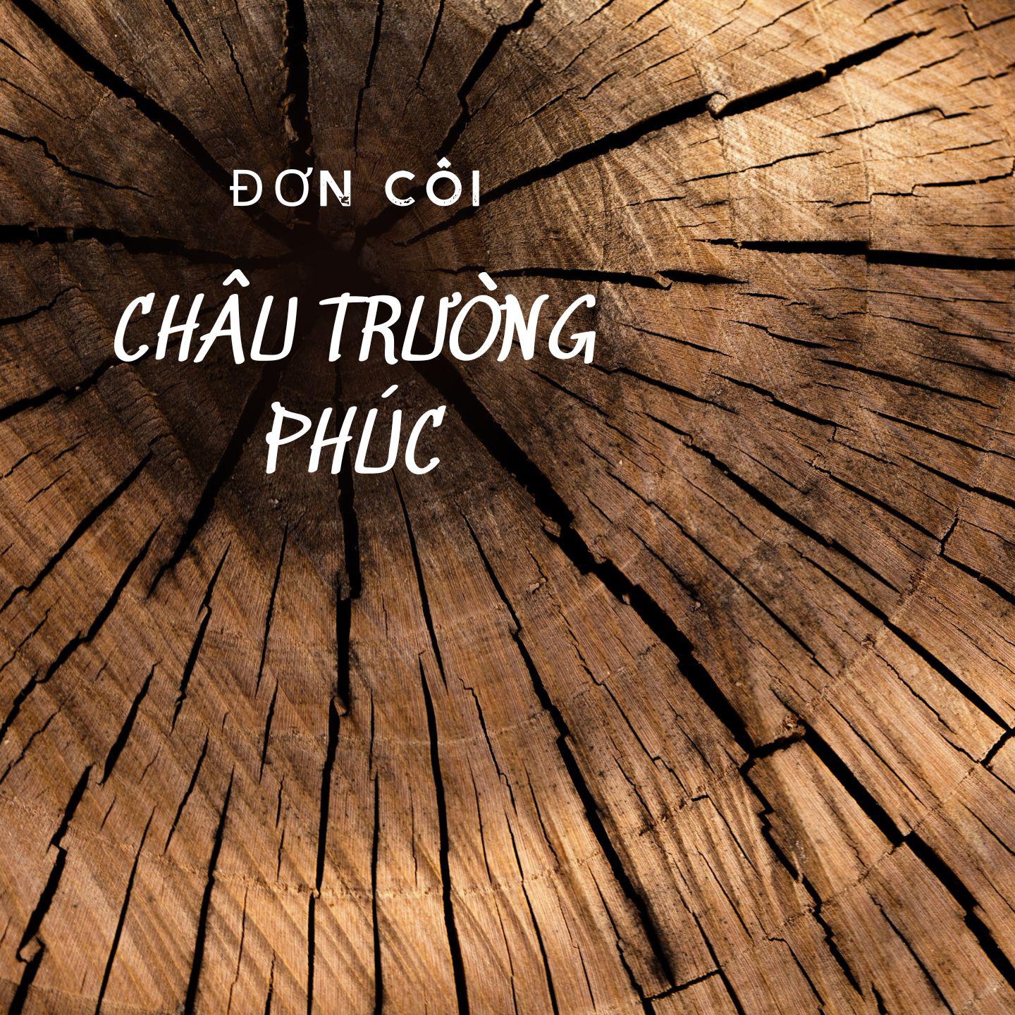 Постер альбома Đơn Côi