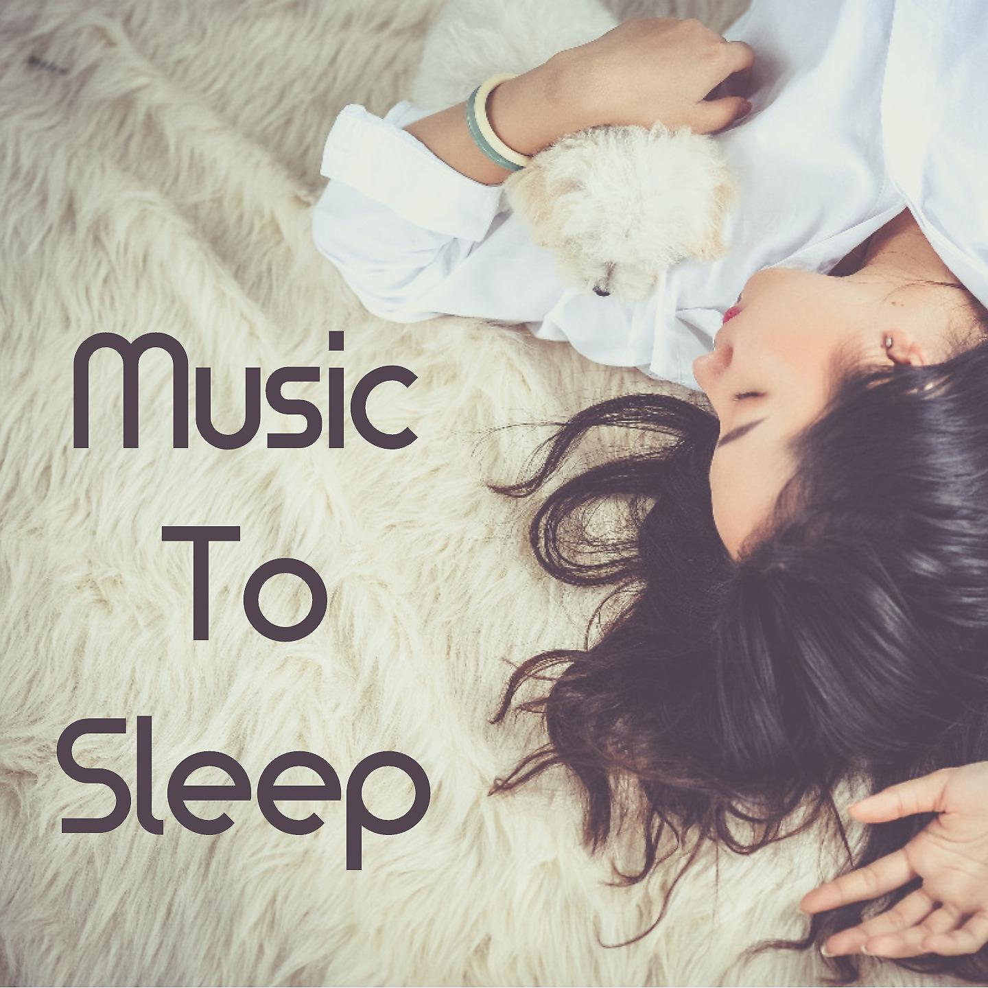 Постер альбома Music to Sleep
