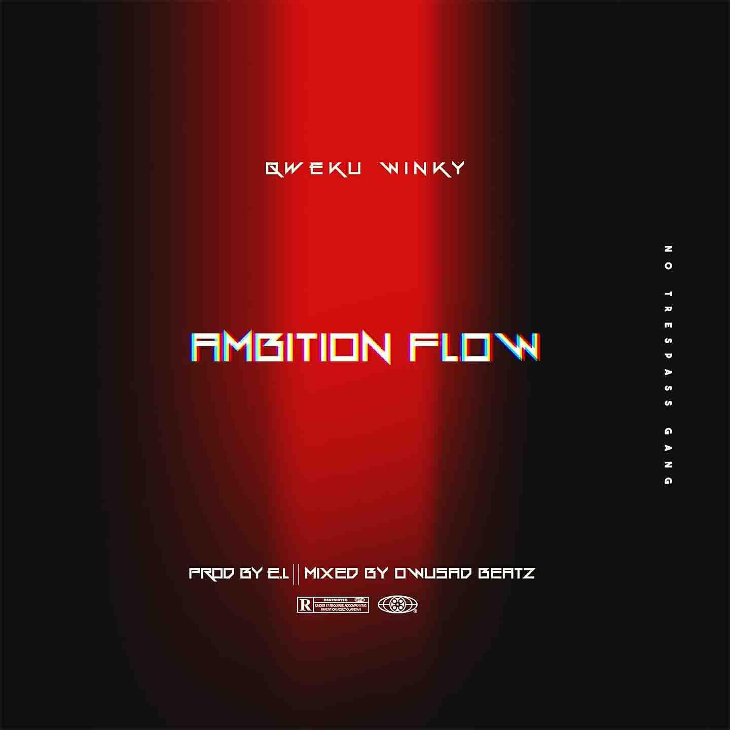 Постер альбома Ambition Flow