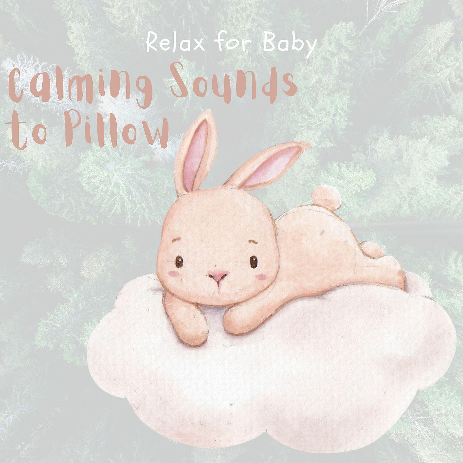 Постер альбома Calming Sounds to Pillow