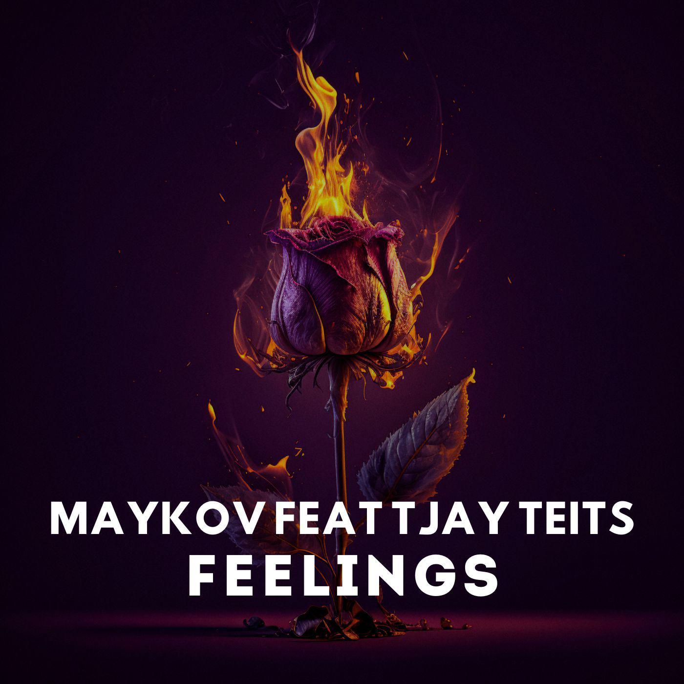 Постер альбома Feelings (feat. Tjay Teits)
