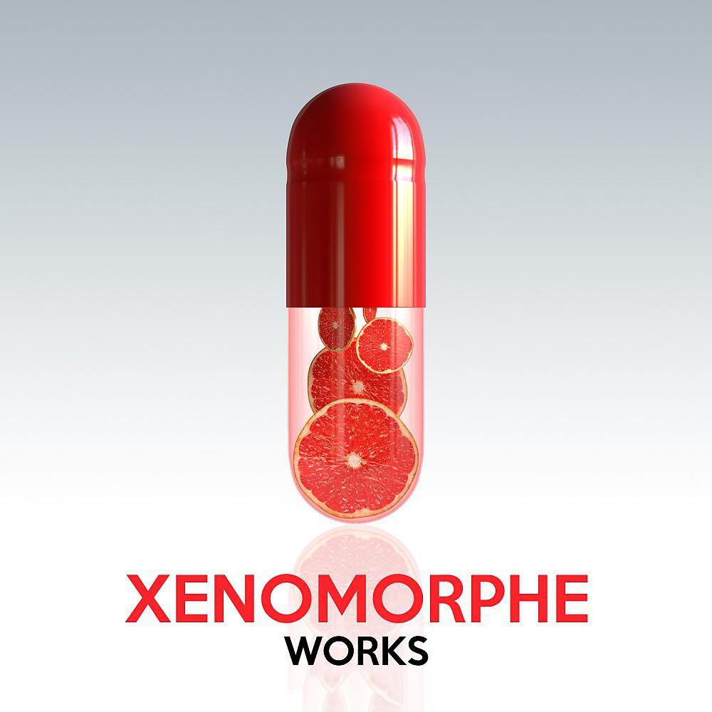Постер альбома Xenomorphe Works