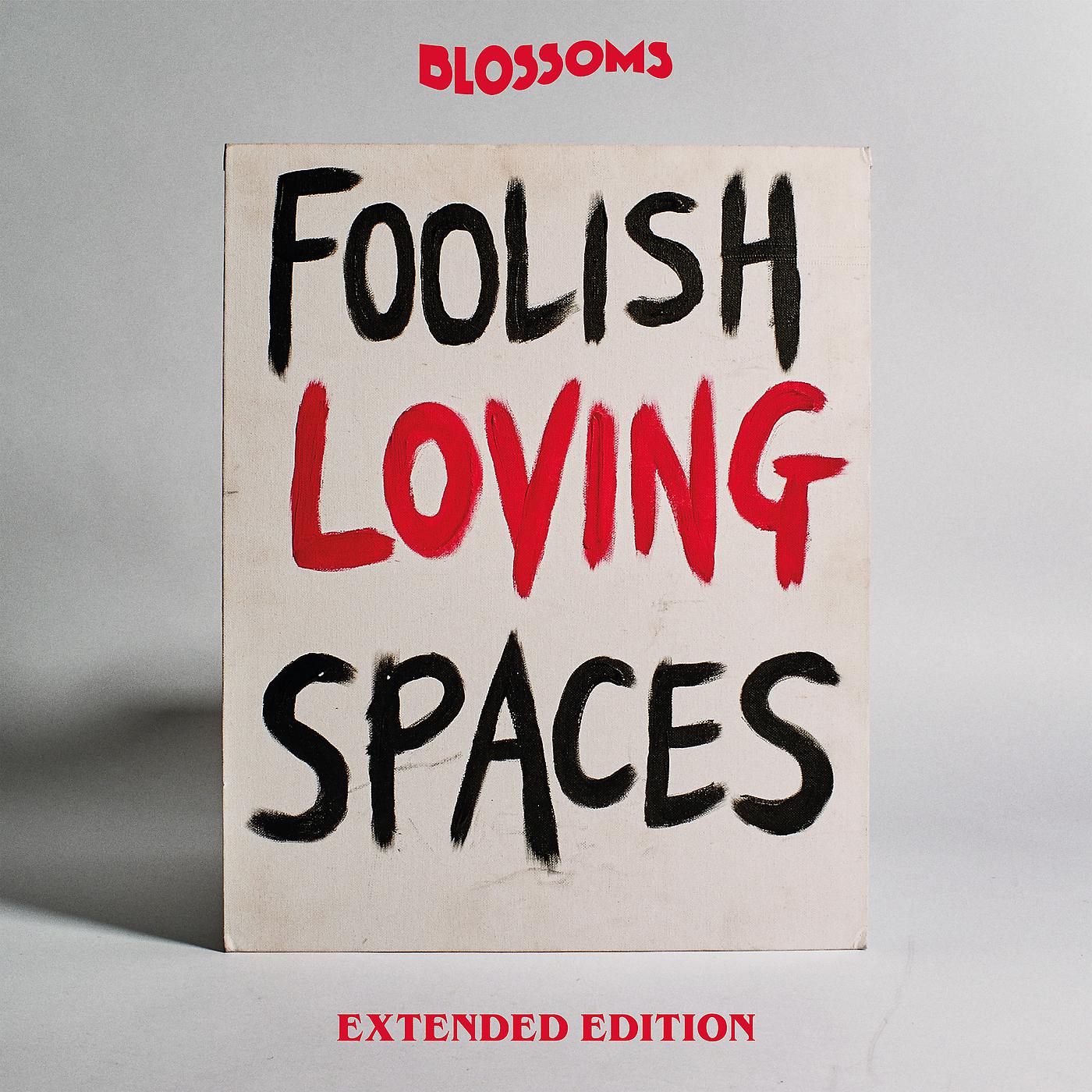 Постер альбома Foolish Loving Spaces