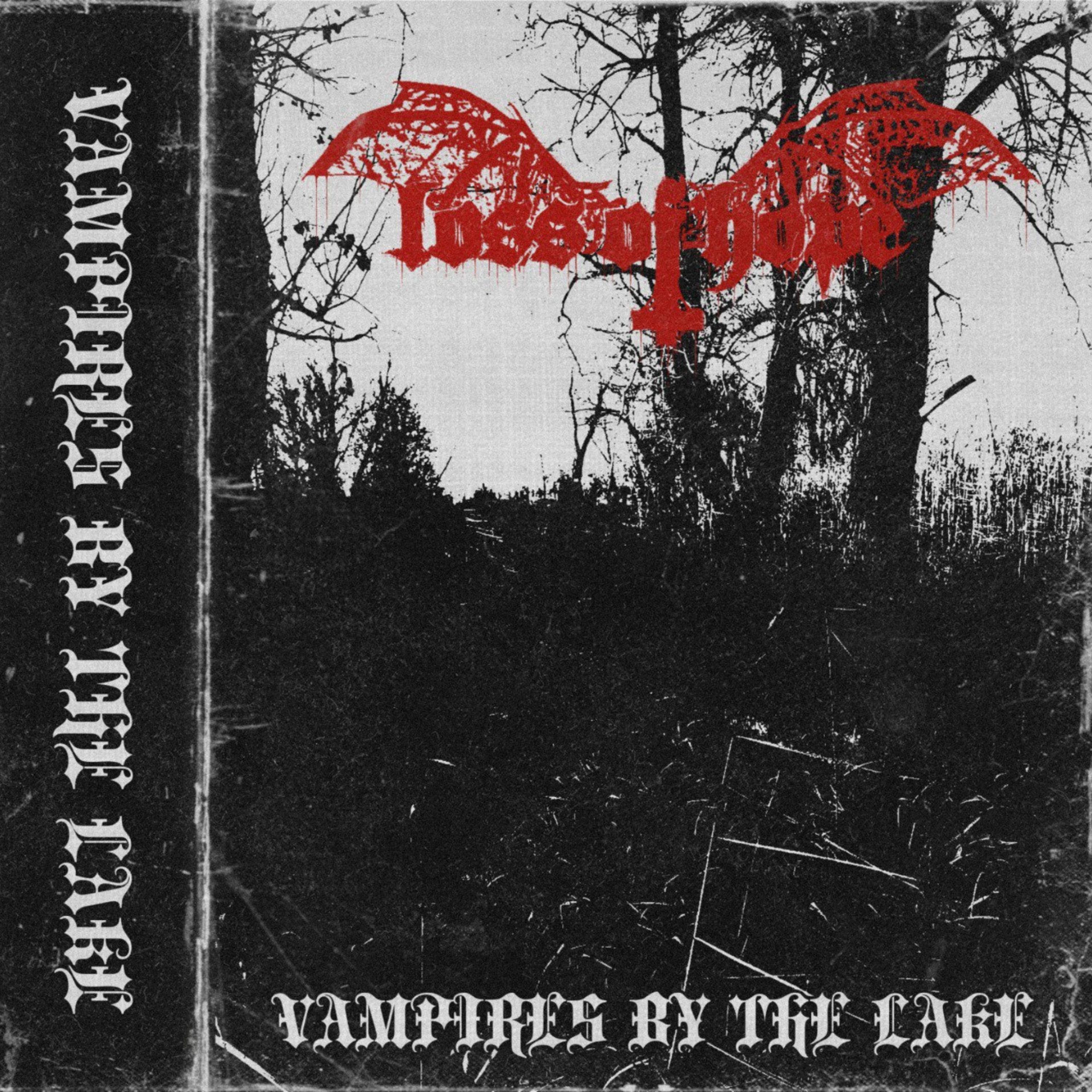 Постер альбома Vampires by the Lake