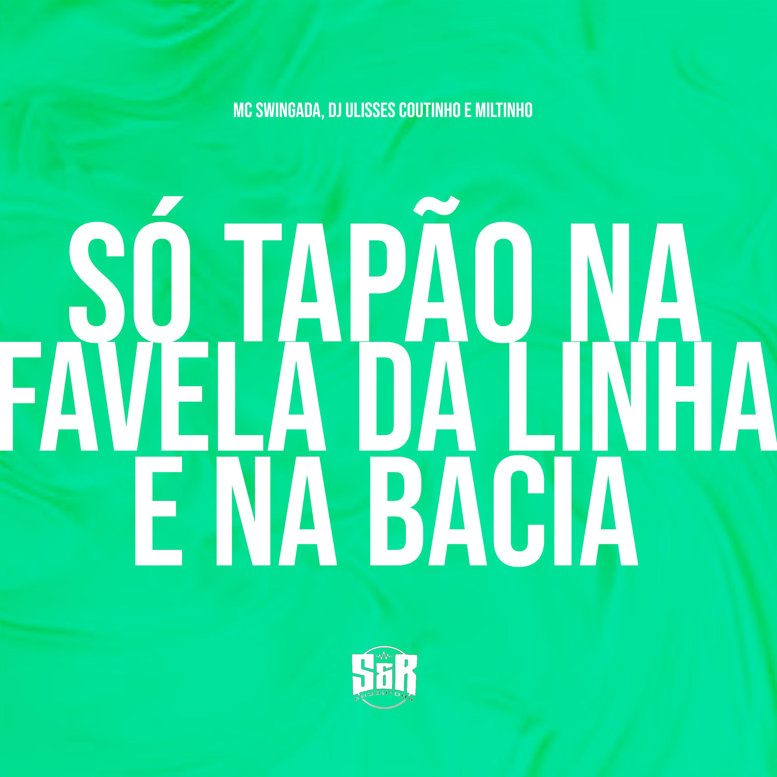 Постер альбома Só Tapão na Favela da Linha e na Bacia