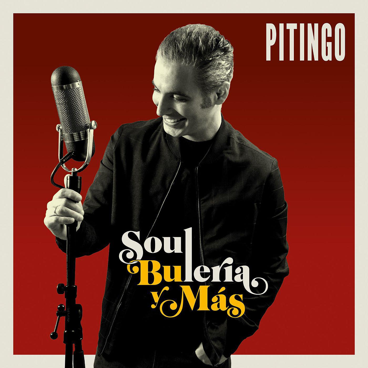 Постер альбома Soul, Bulería y más