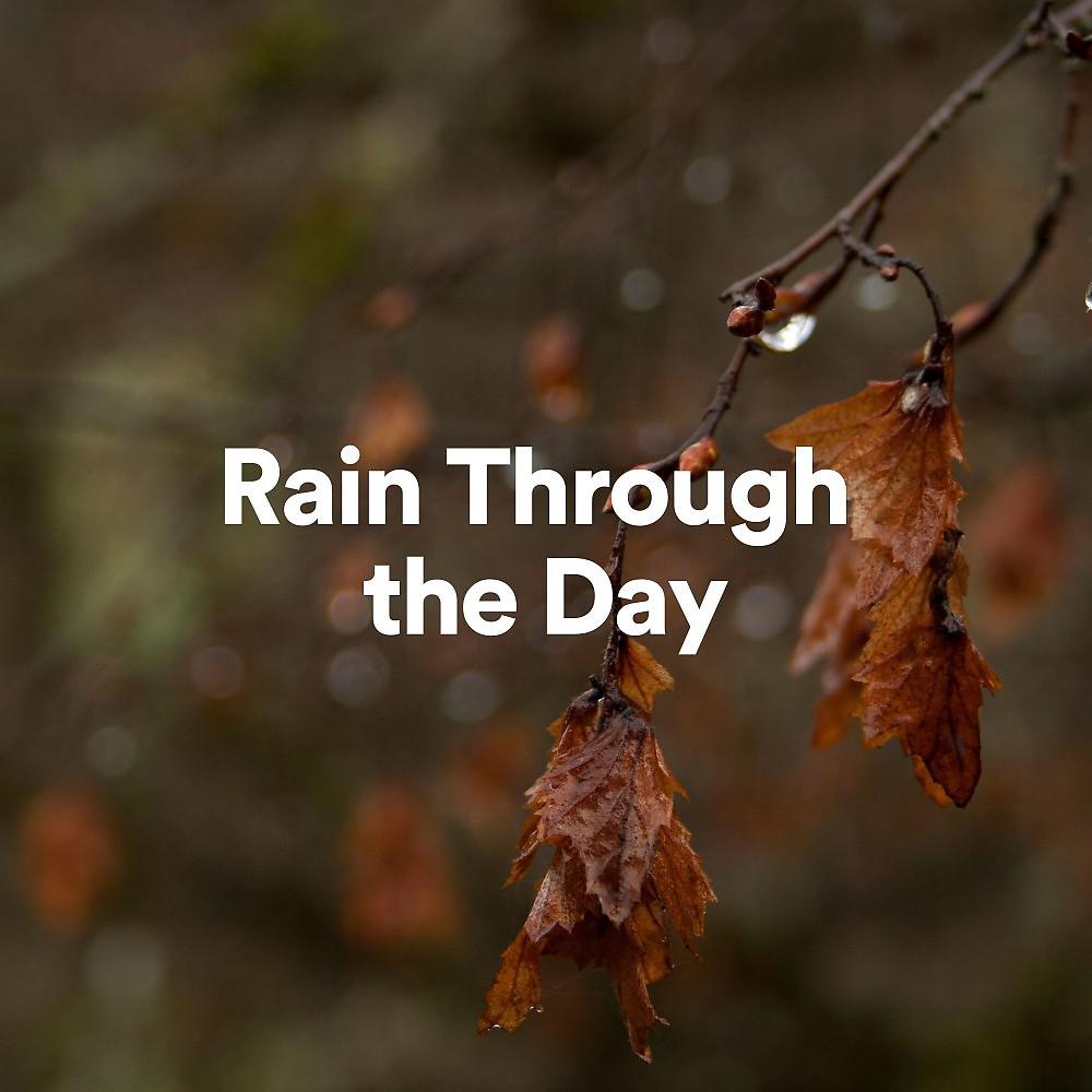 Постер альбома Rain Through the Day