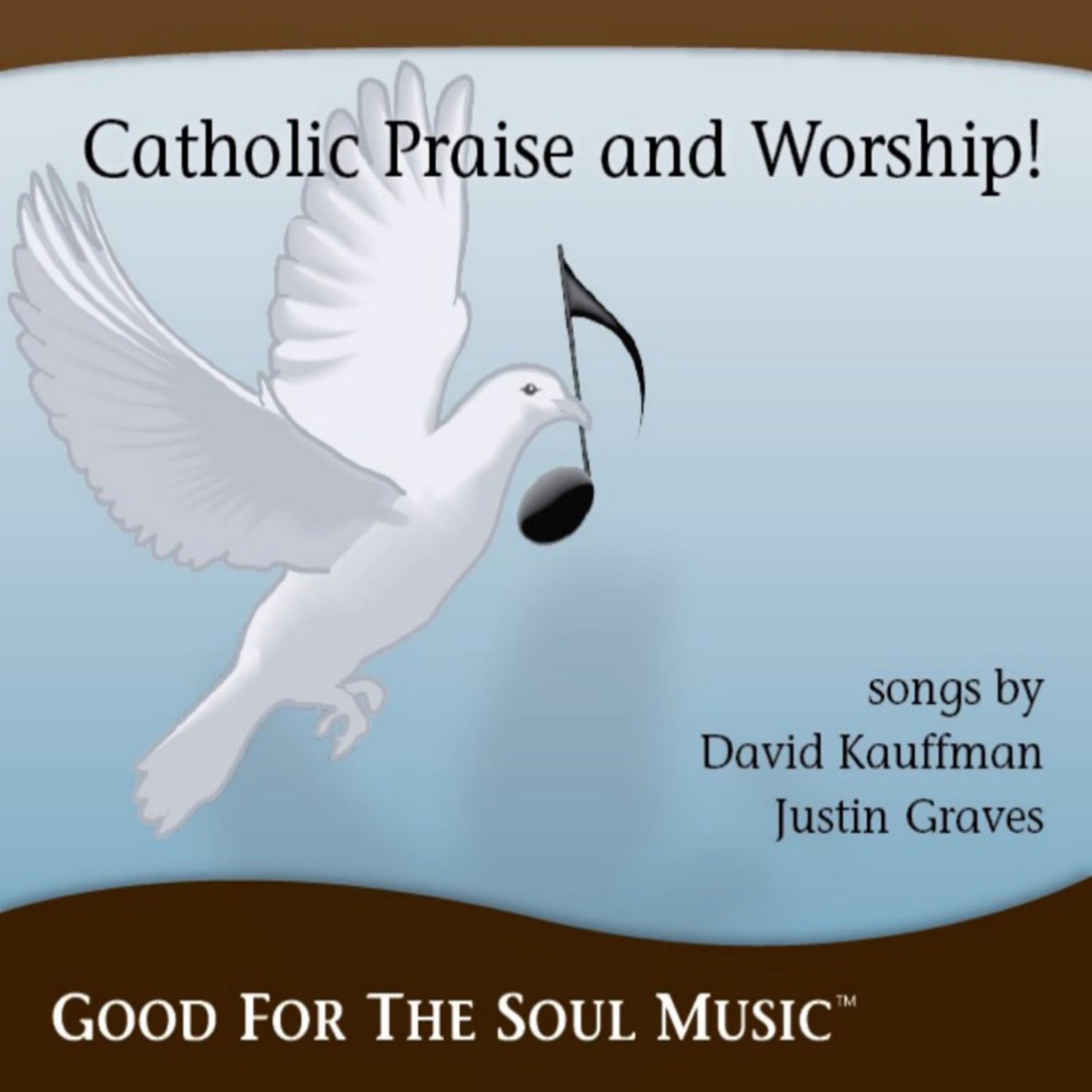 Постер альбома Catholic Praise and Worship From Good For The Soul Music