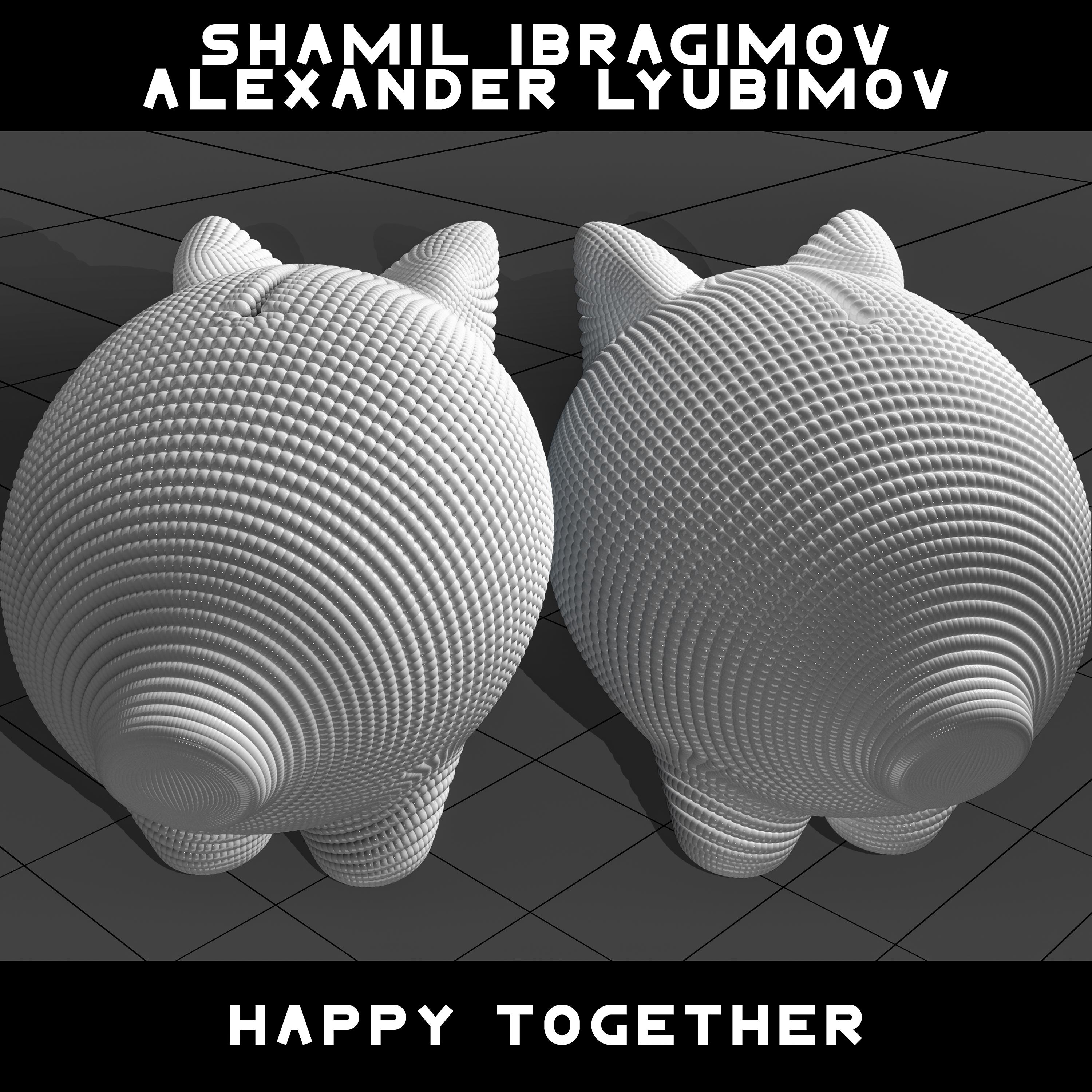 Постер альбома Happy Together