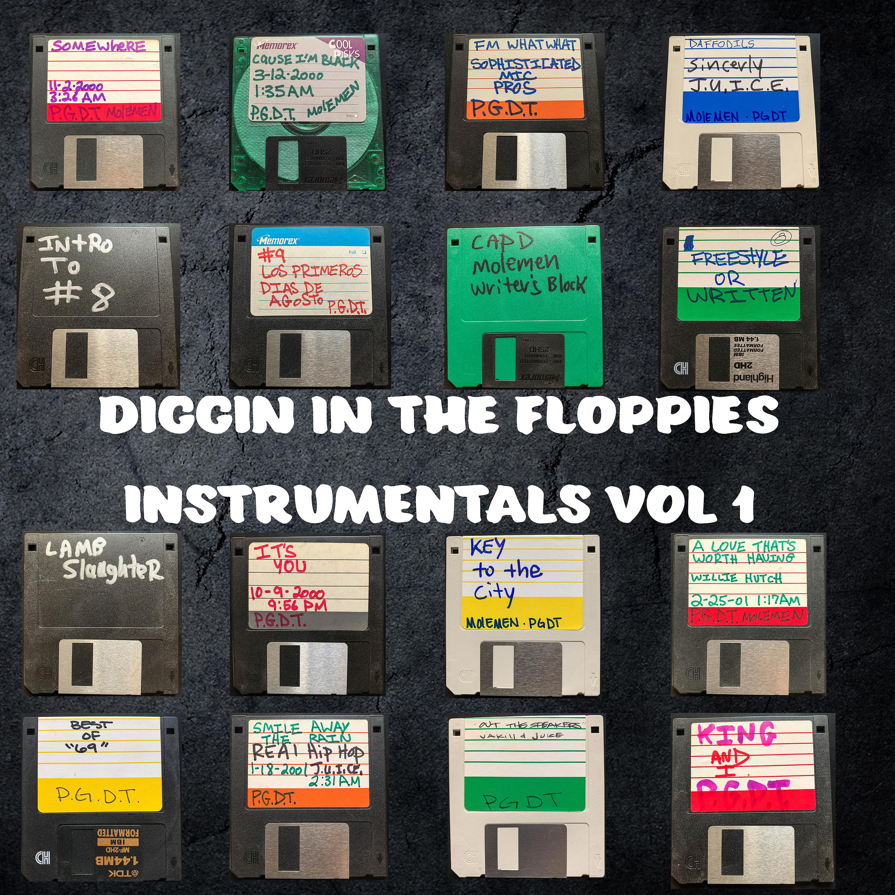 Постер альбома Diggin' in the Floppies: Instrumentals, Vol. 1