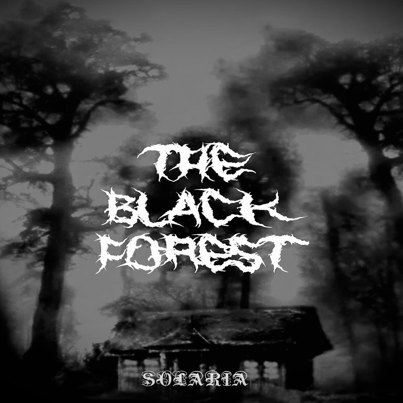 Постер альбома The Black Forest