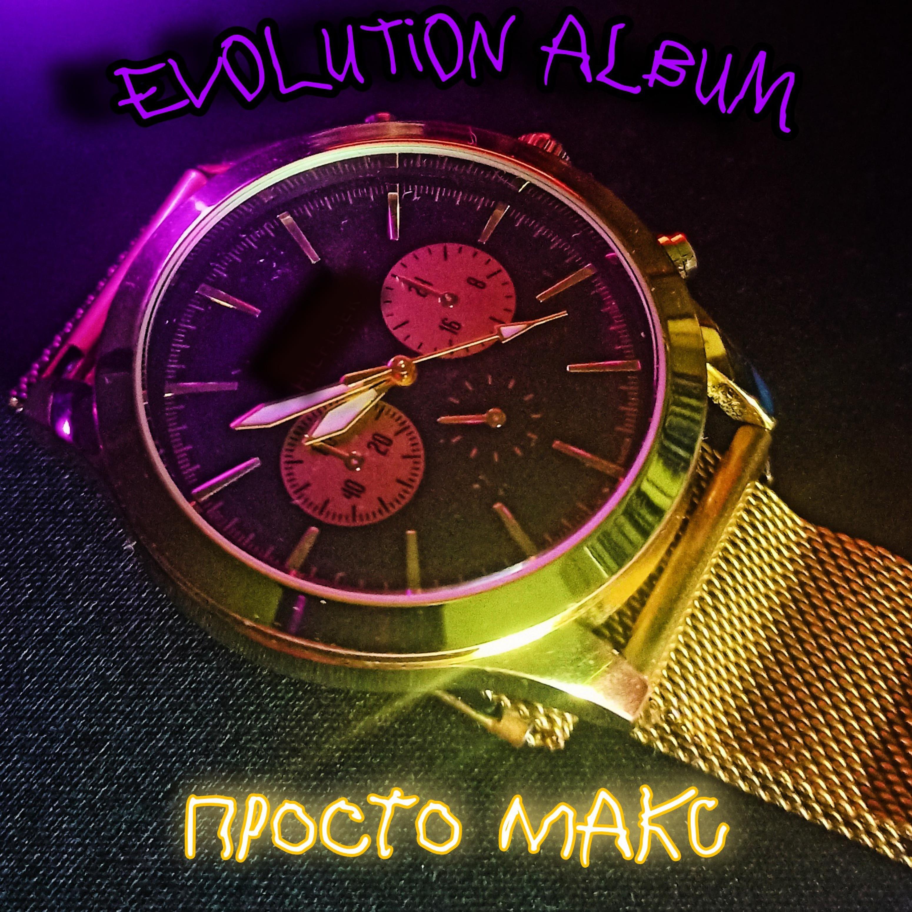 Постер альбома Evolution Album