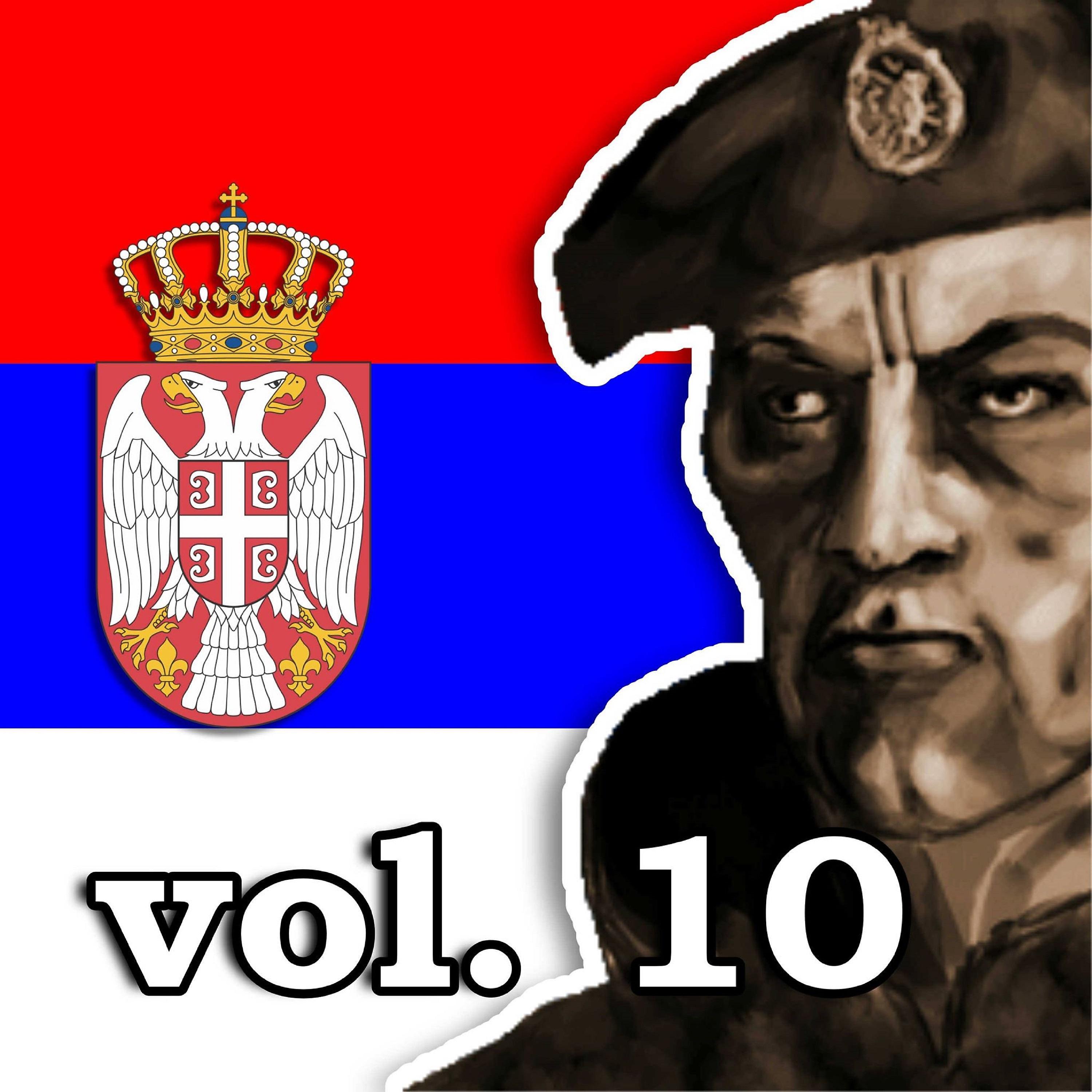 Постер альбома Koktel patriotskih hitova vol. 10