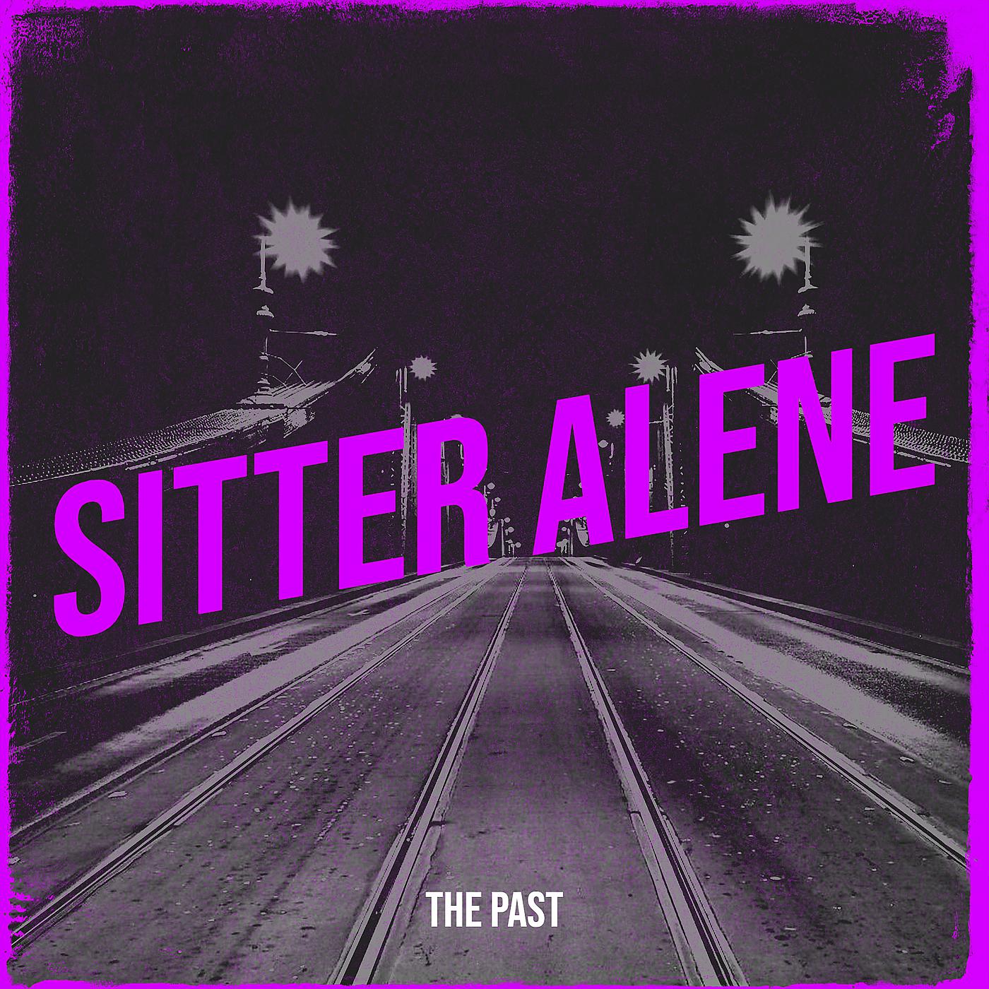 Постер альбома Sitter Alene