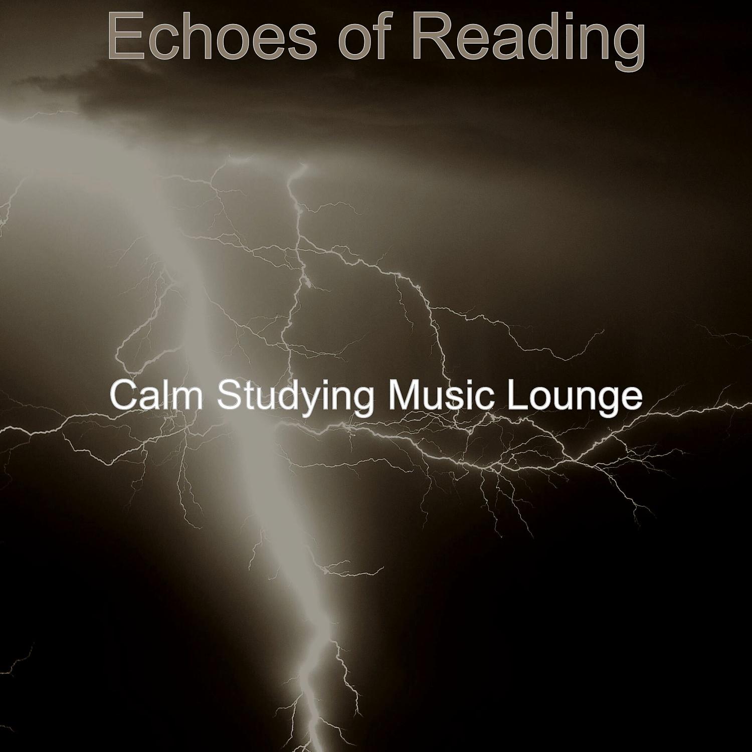 Постер альбома Echoes of Reading