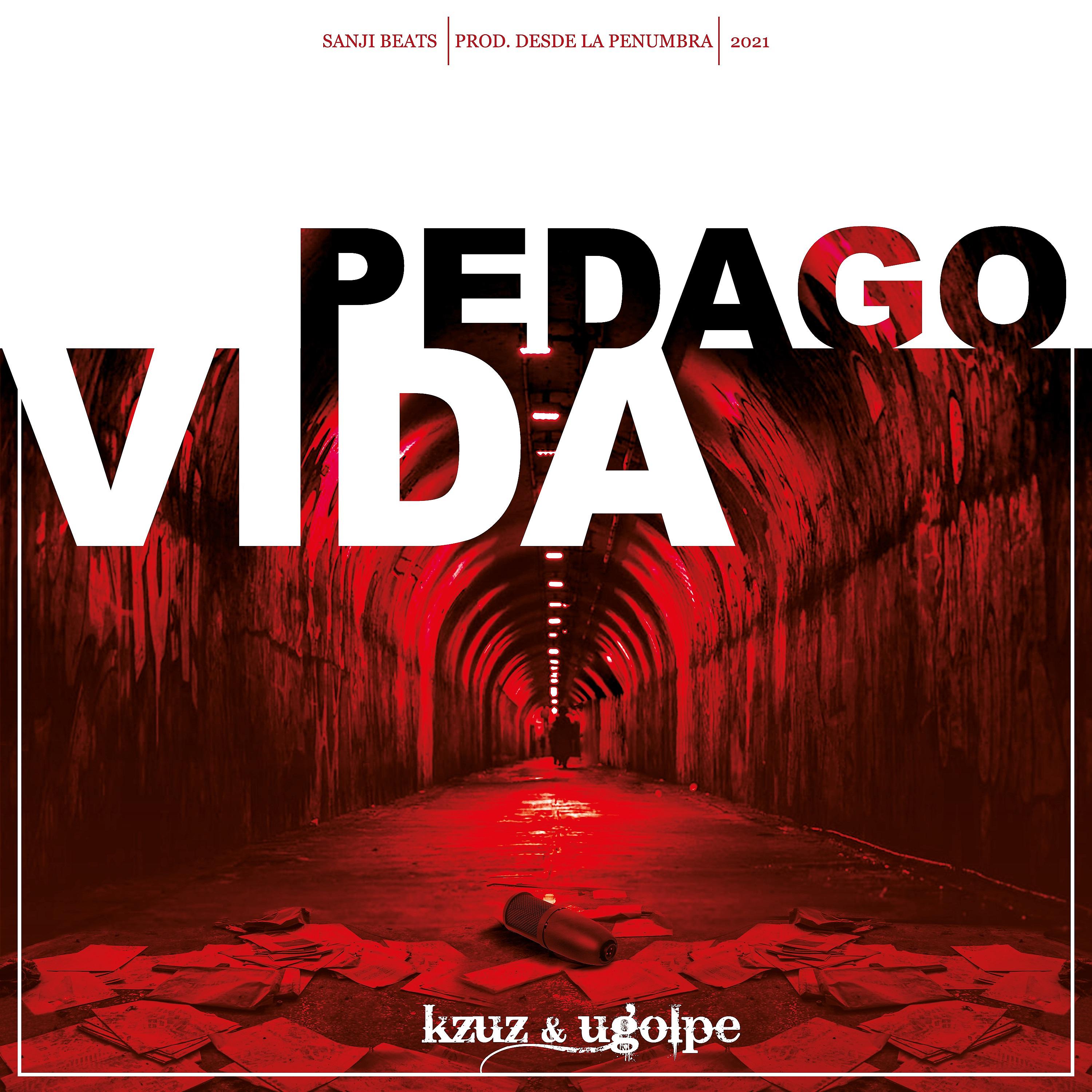 Постер альбома Pedagovida