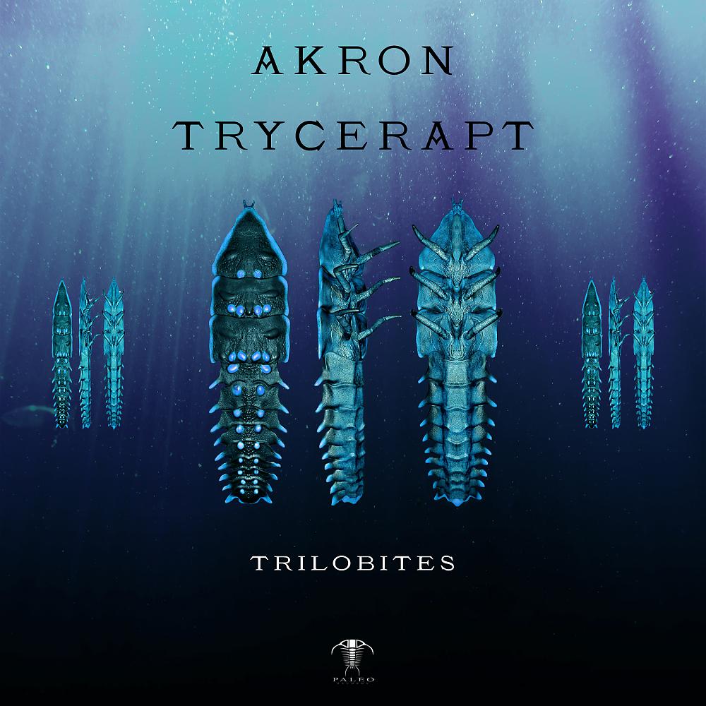Постер альбома Trilobites