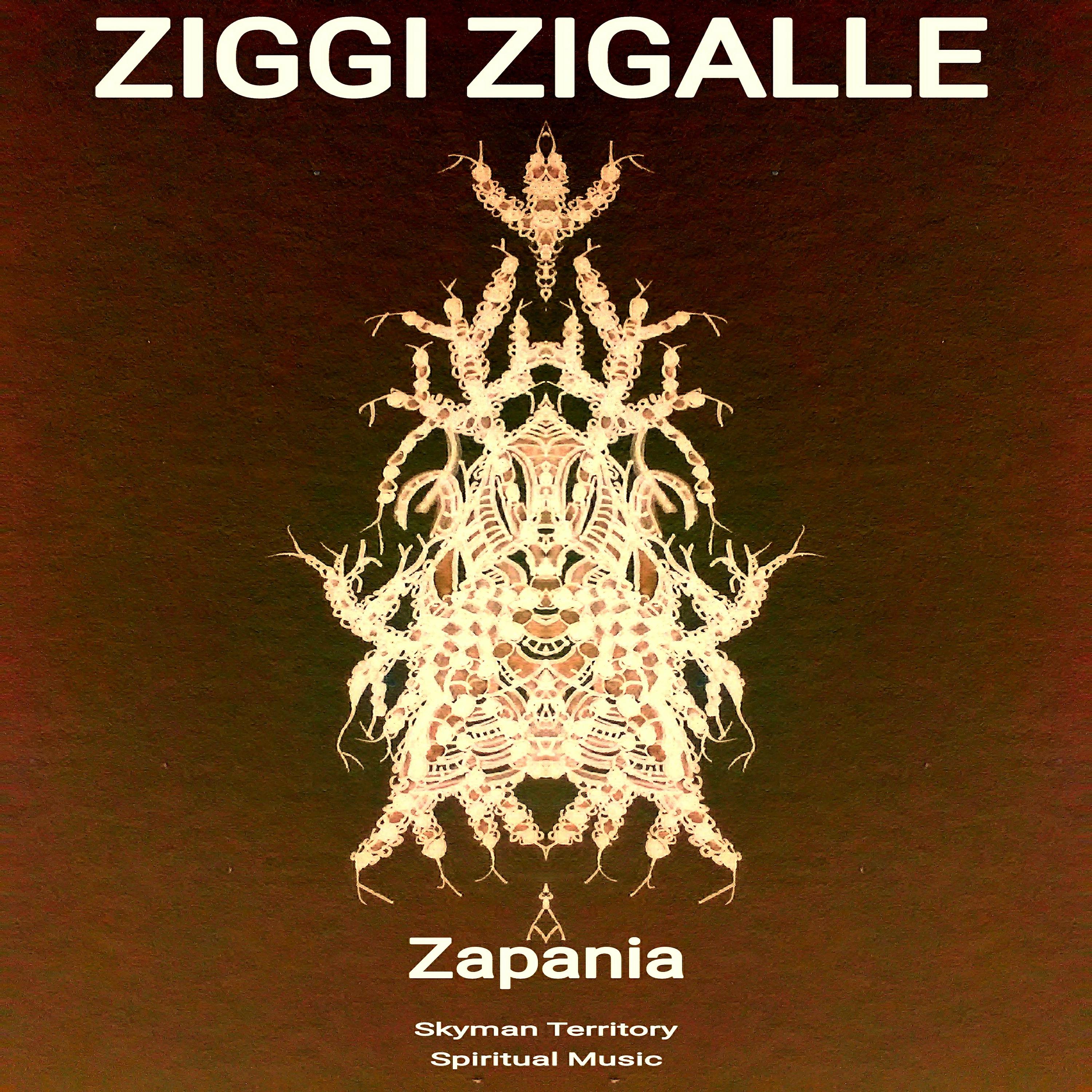 Постер альбома Ziggi Zigalle