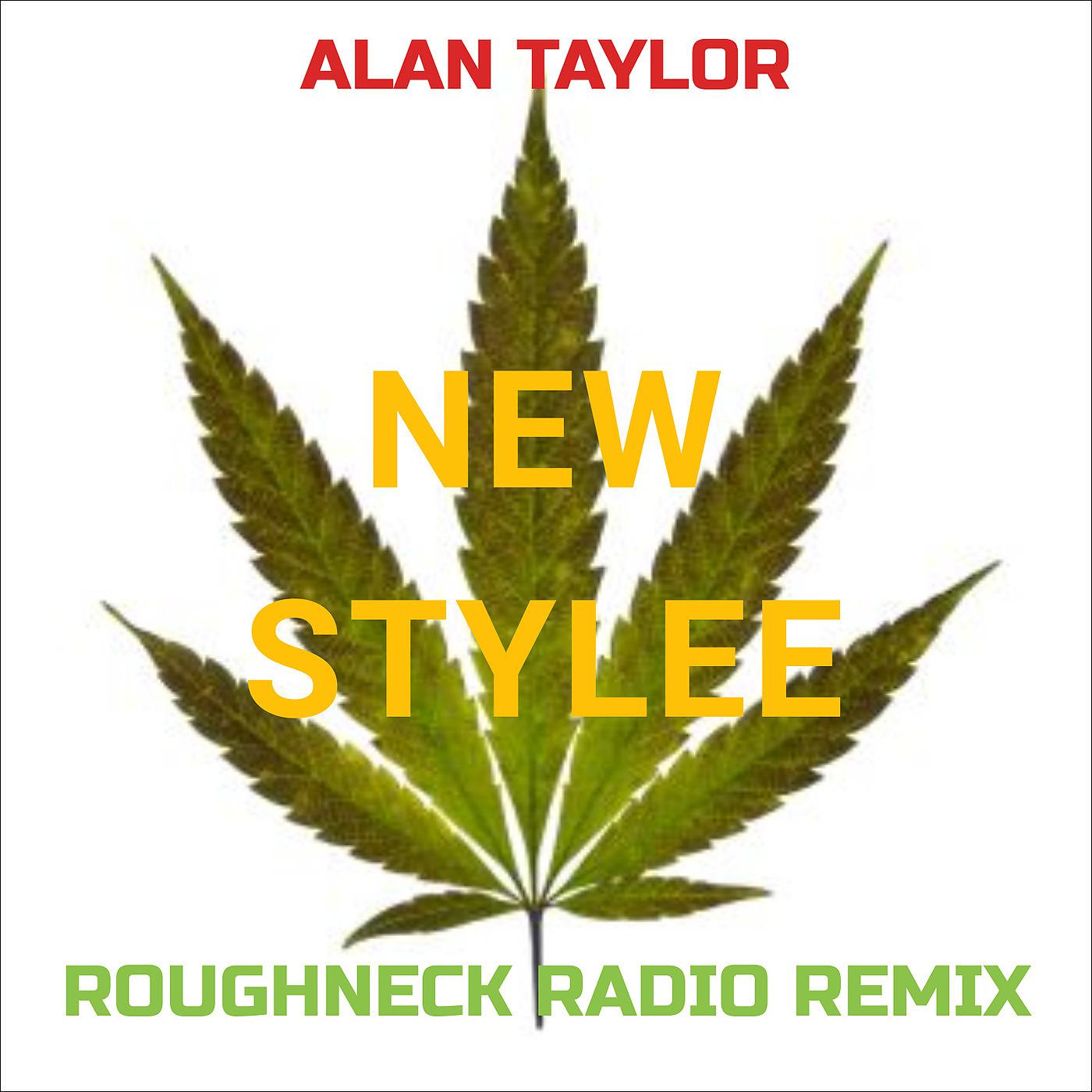 Постер альбома New Stylee (Roughneck Radio Remix)