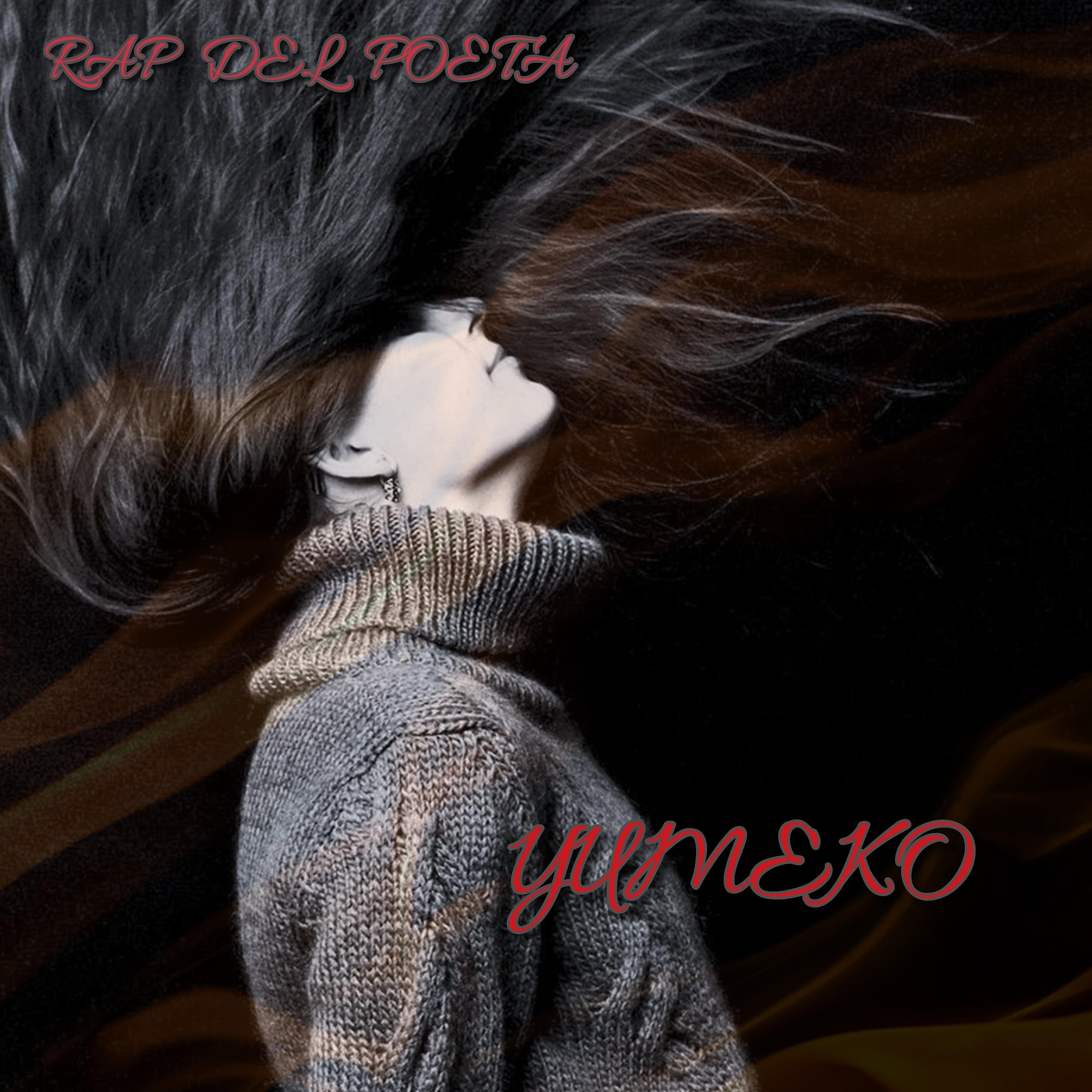 Постер альбома Yumeko