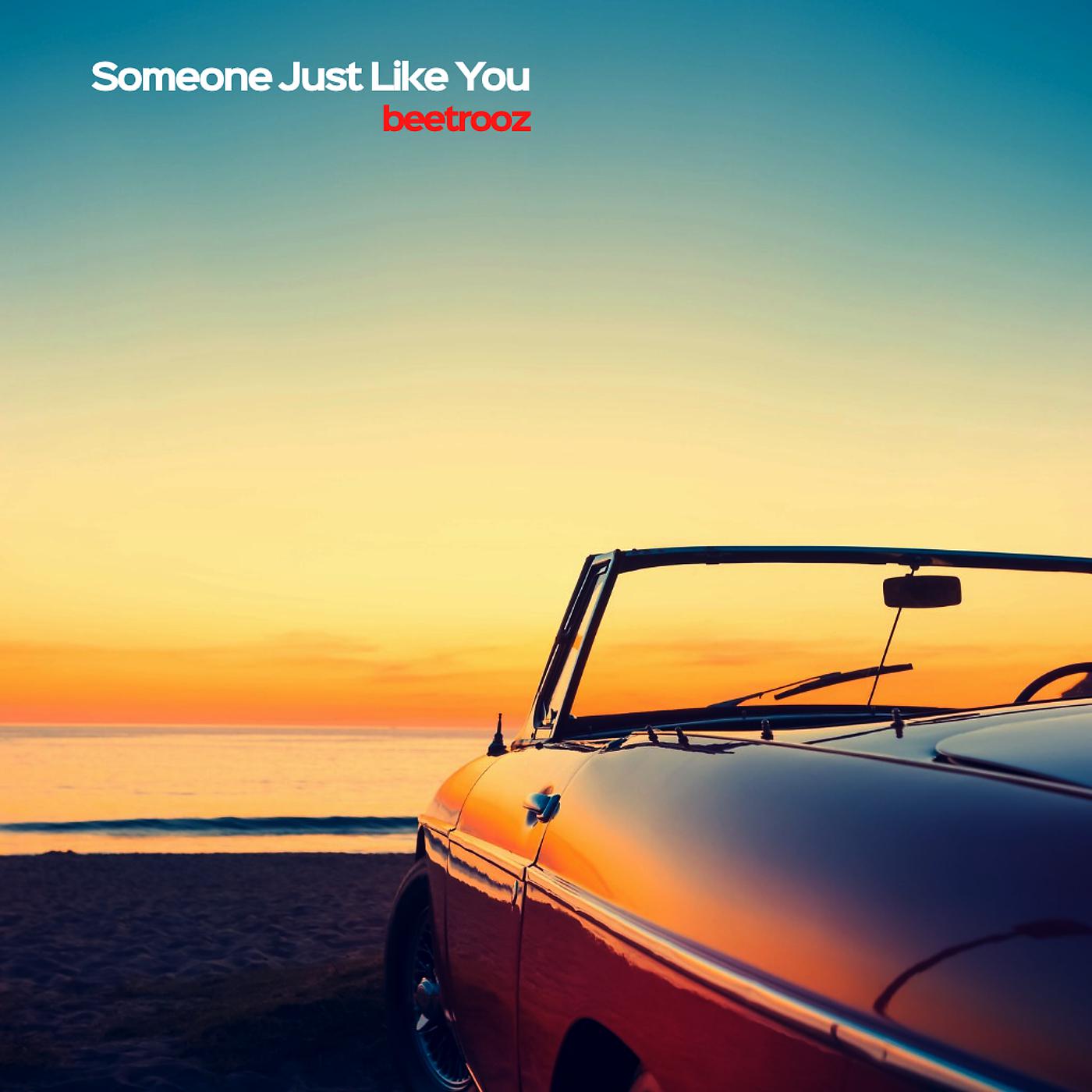 Постер альбома Someone Just Like You
