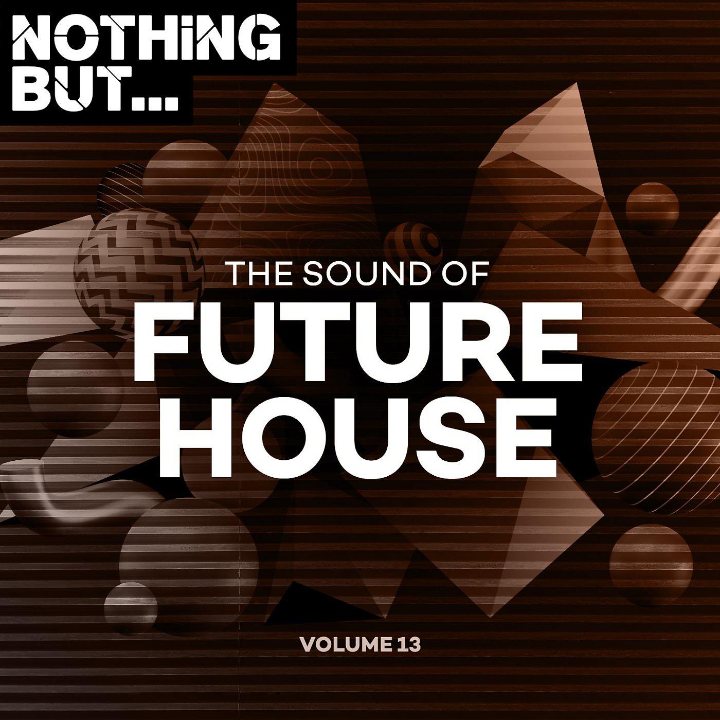 Постер альбома Nothing But... The Sound of Future House, Vol. 13