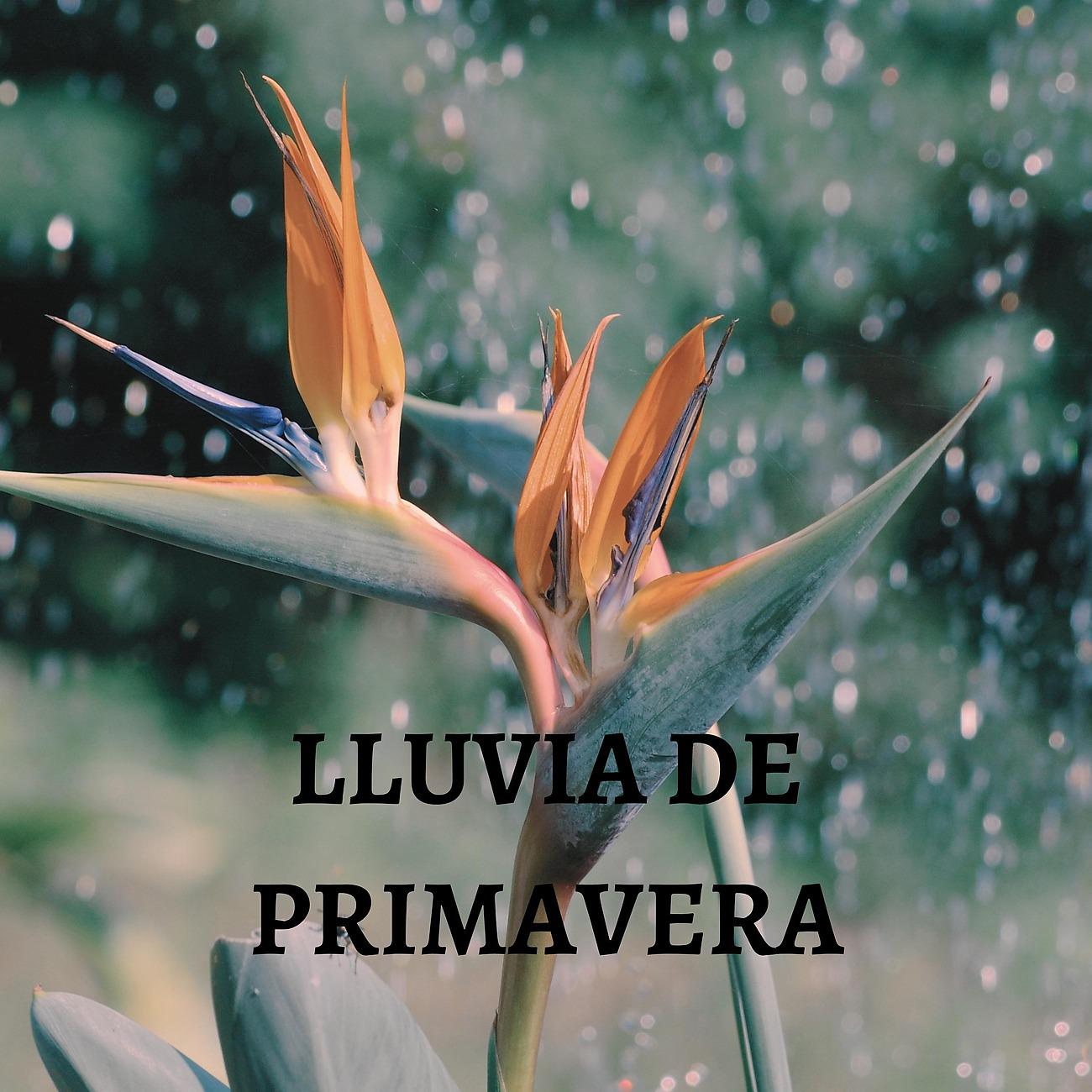 Постер альбома Lluvia De Primavera
