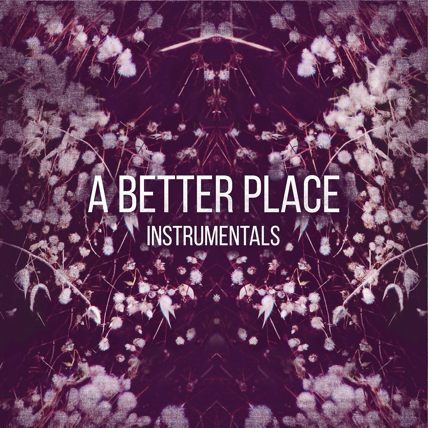 Постер альбома A Better Place Instrumentals
