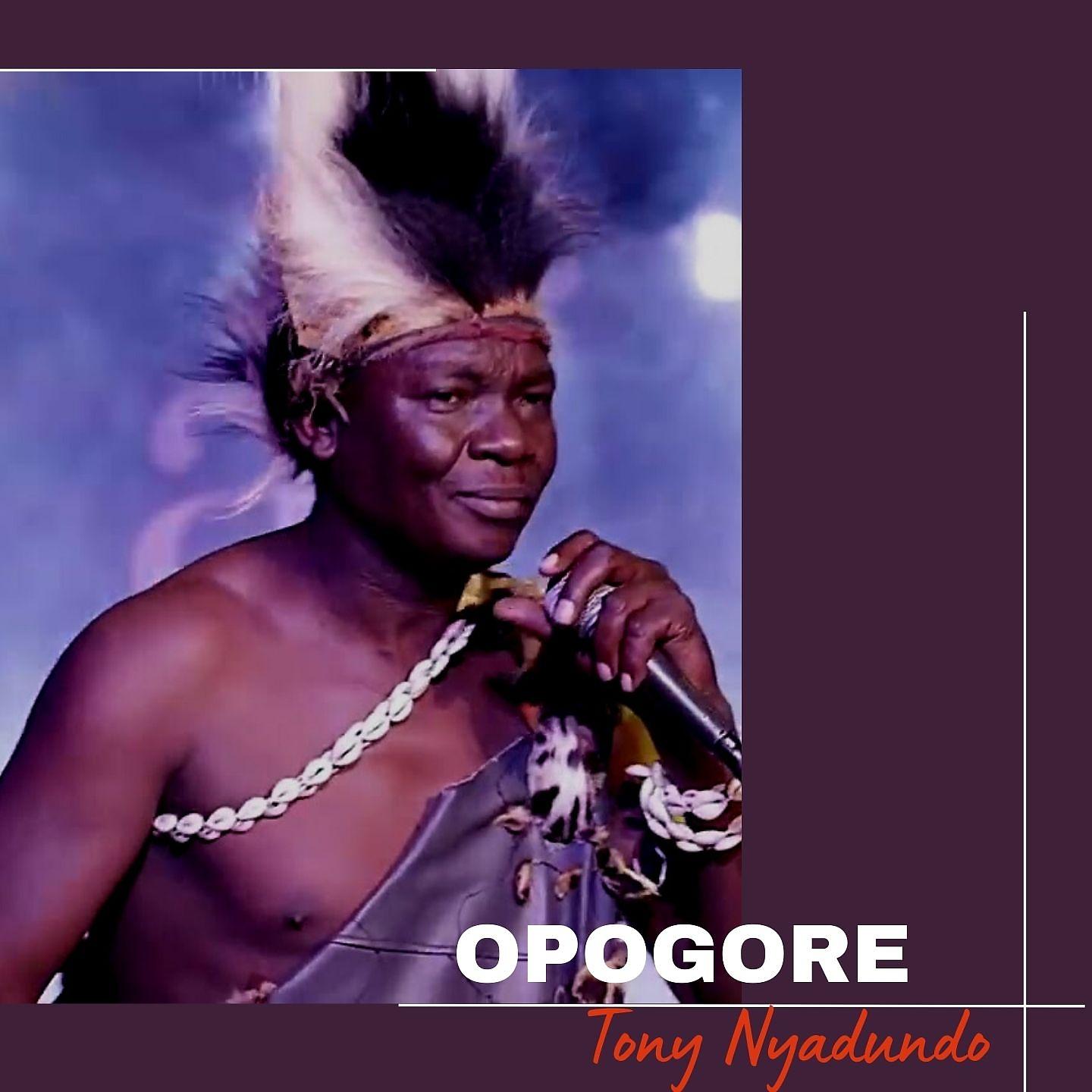 Постер альбома Opogore