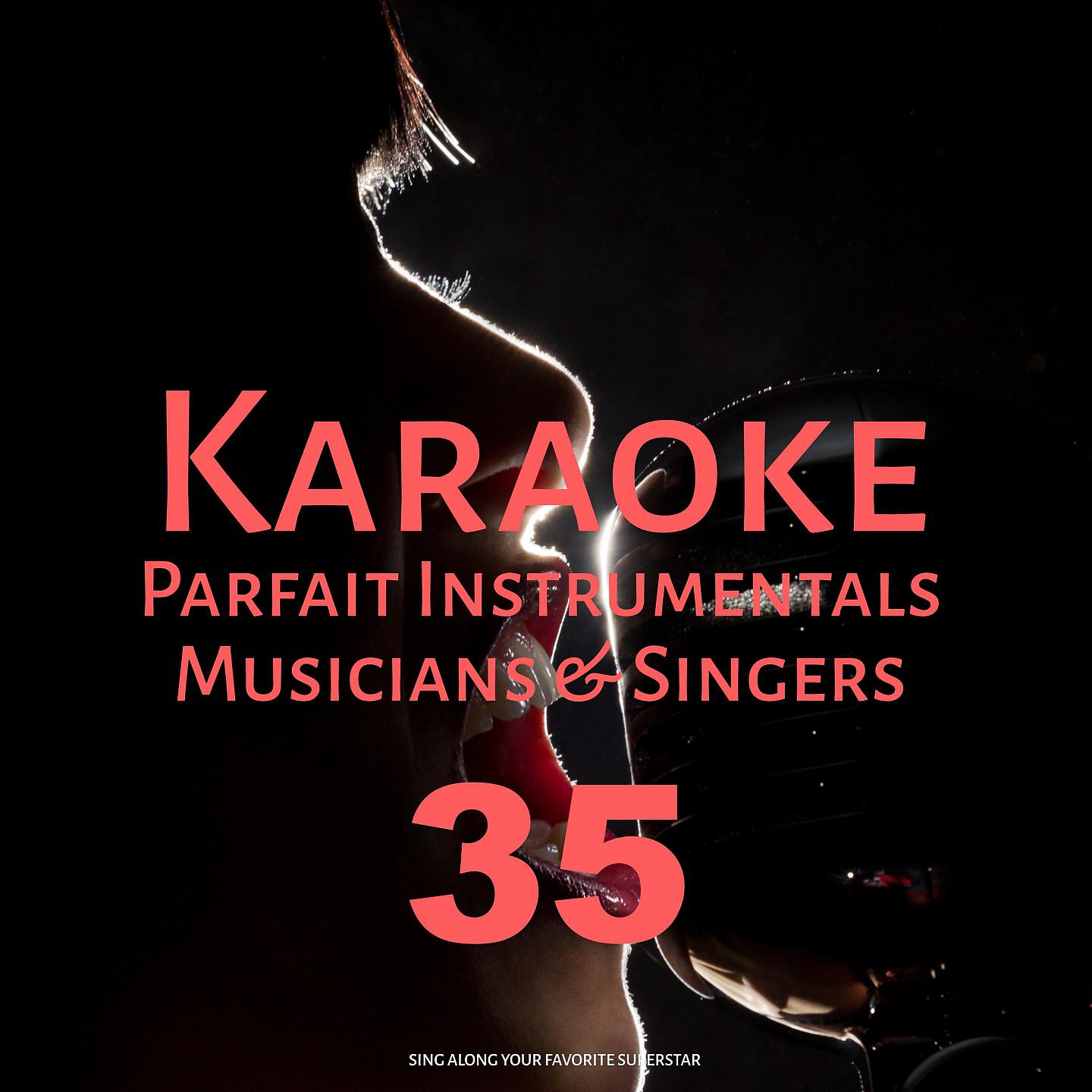 Постер альбома Karaoke Parfait Instrumentals Musicians & Singers, Vol. 35