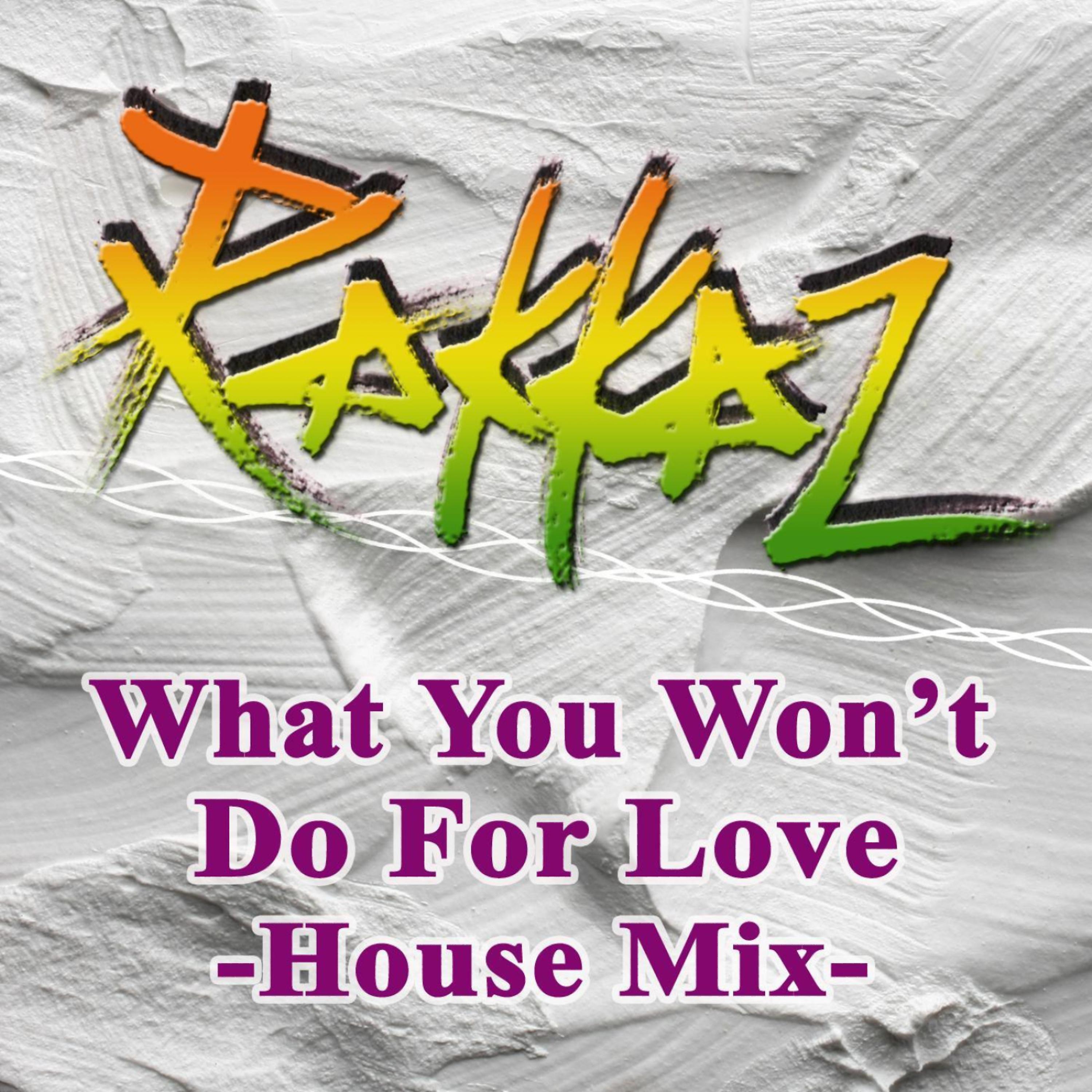 Постер альбома What You Won't Do For Love - House Mix