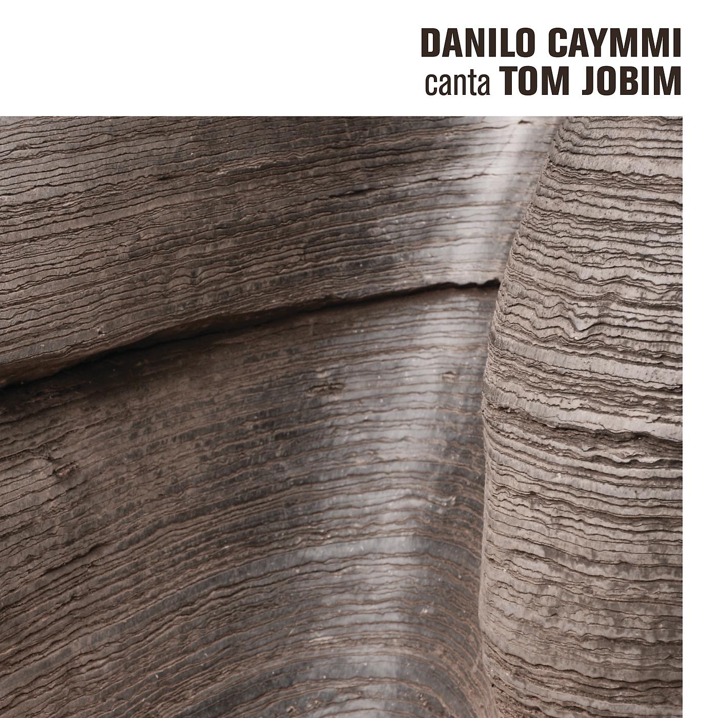 Постер альбома Danilo Caymmi Canta Tom Jobim
