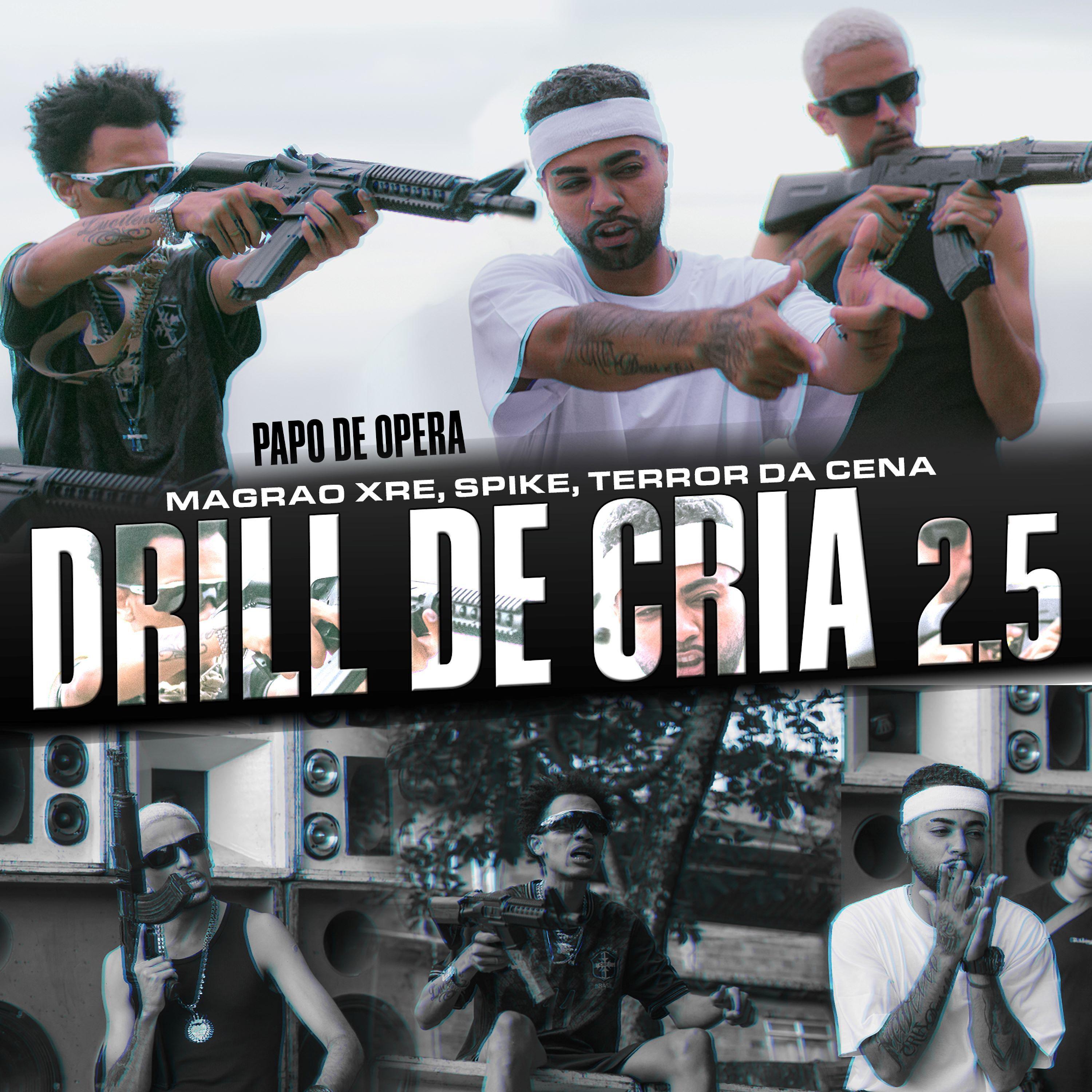 Постер альбома Drill de Cria #2.5 - Papo de Opera
