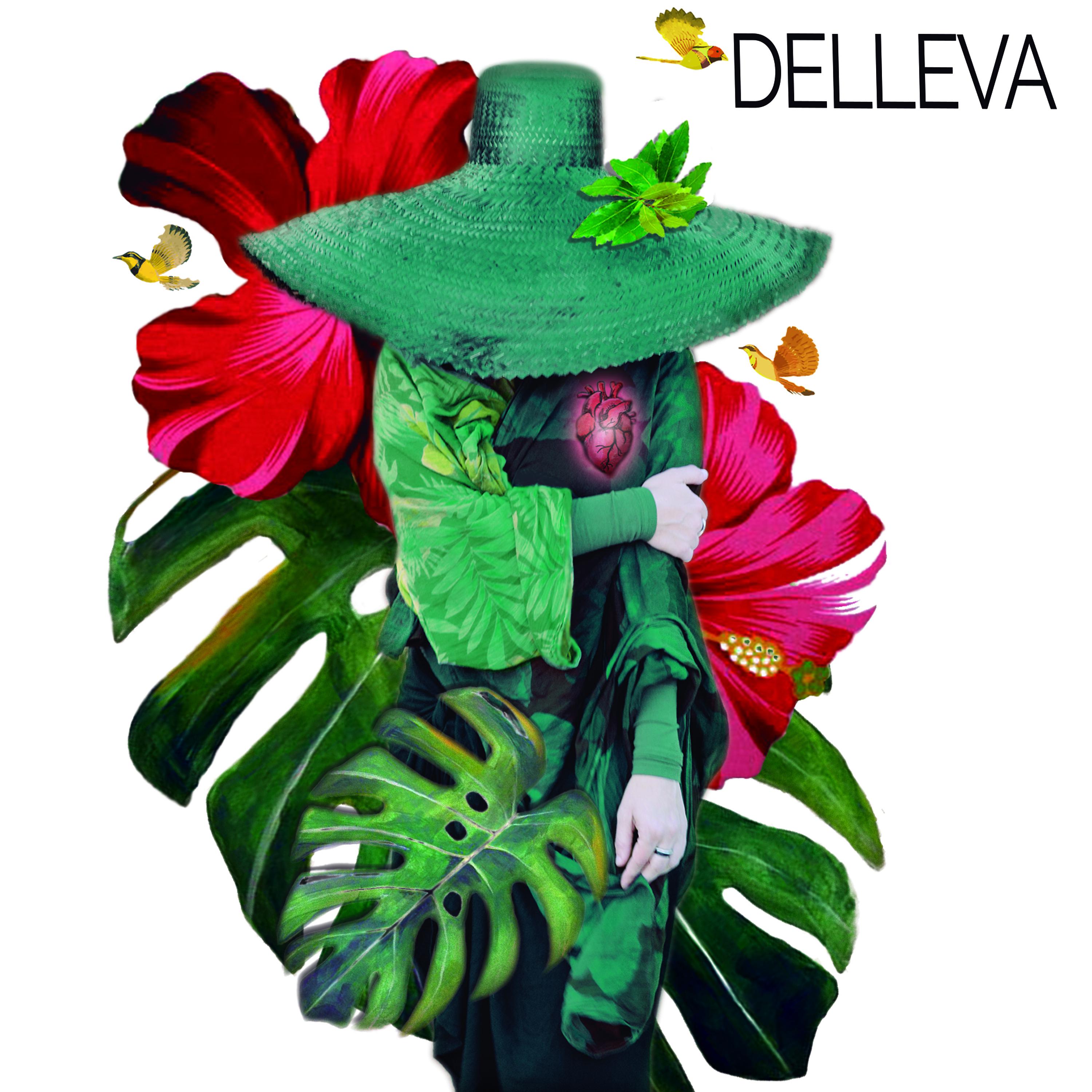 Постер альбома Delleva