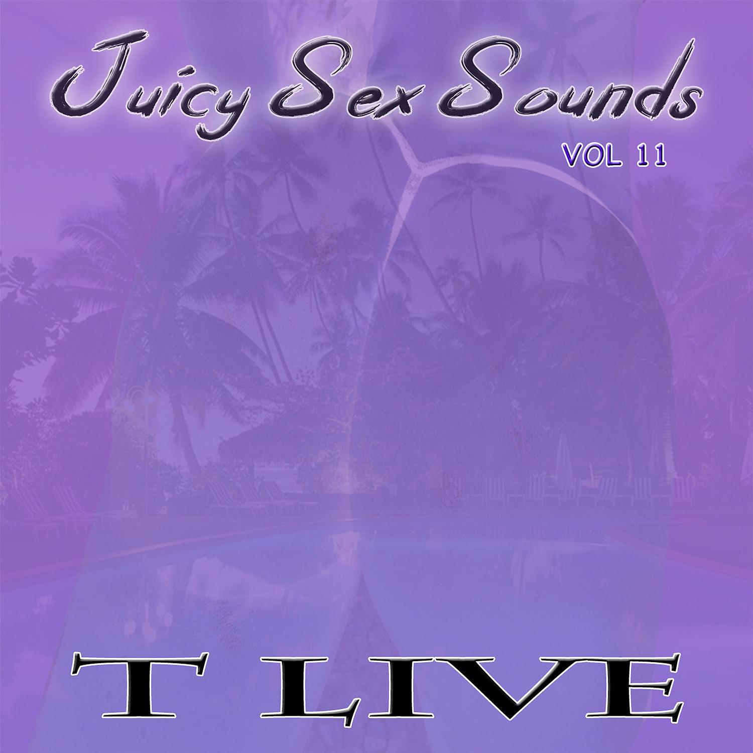 Постер альбома Juicy Sex Sounds Vol 11