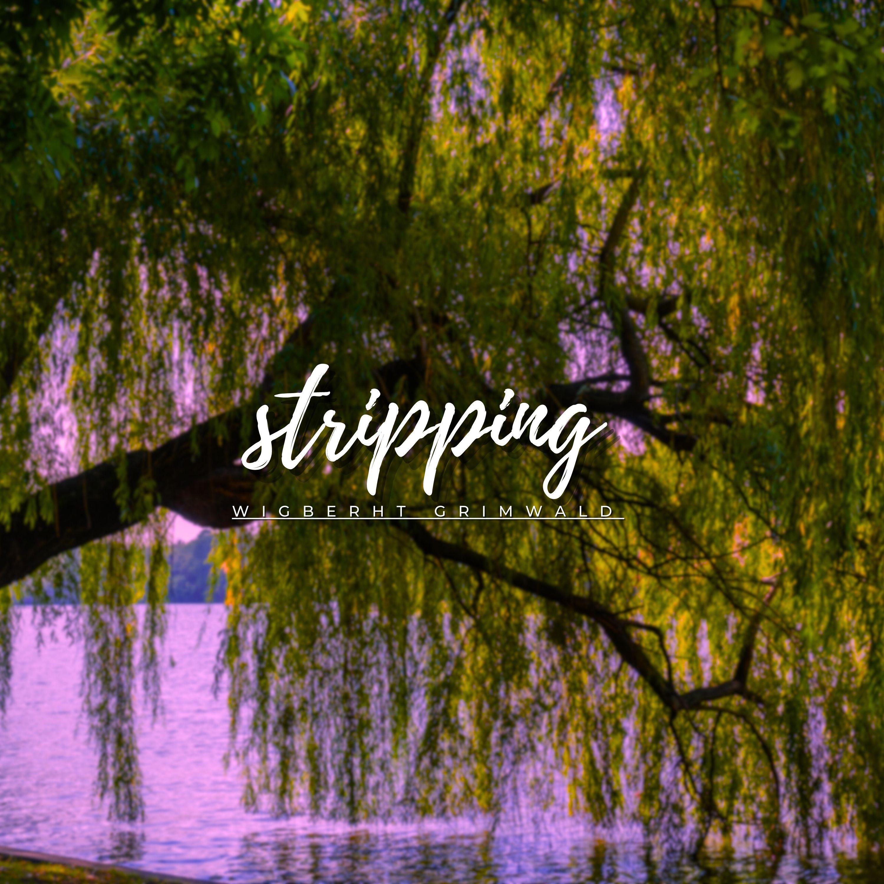 Постер альбома Stripping