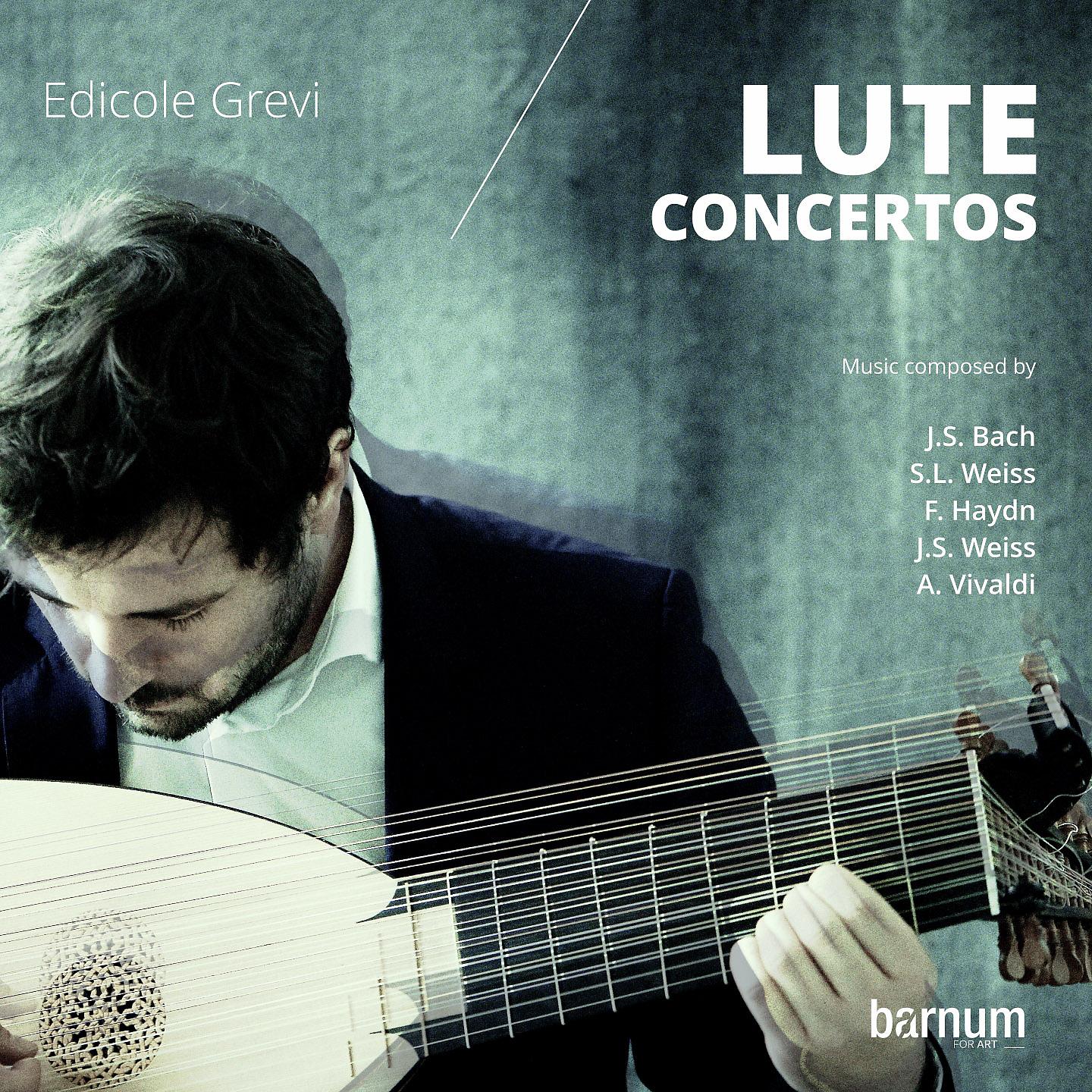 Постер альбома Lute Concertos