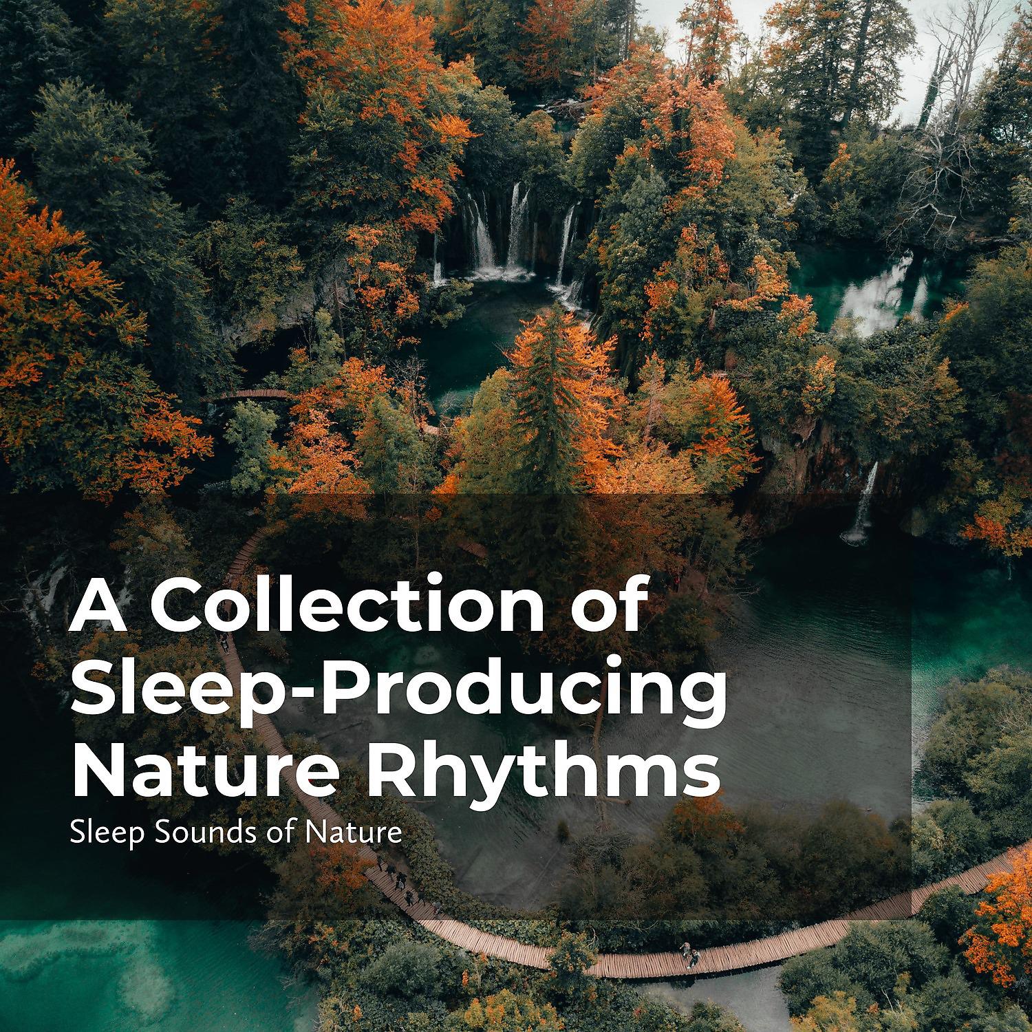 Постер альбома Sleep-Producing Nature Rhythms
