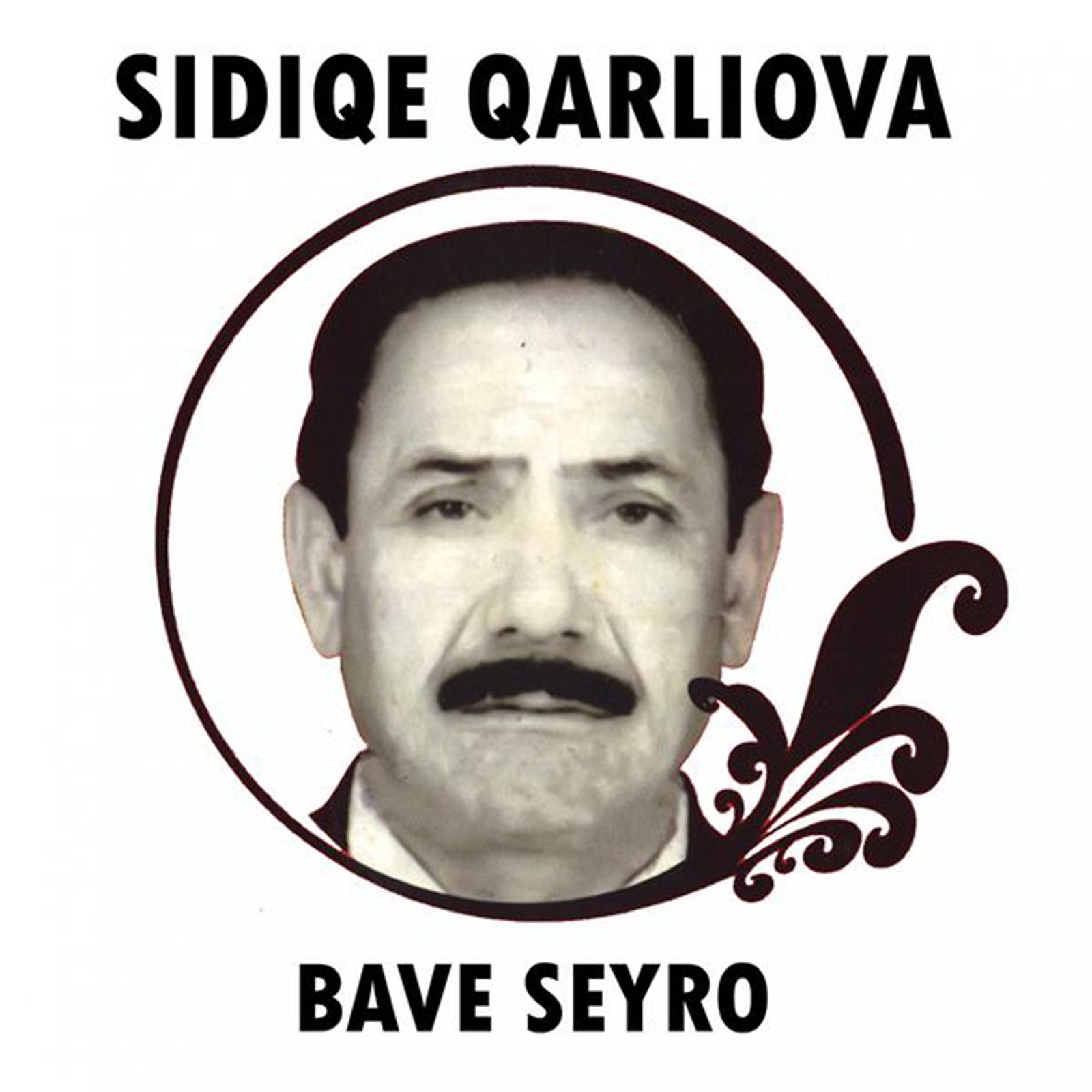 Постер альбома Bave Seyro