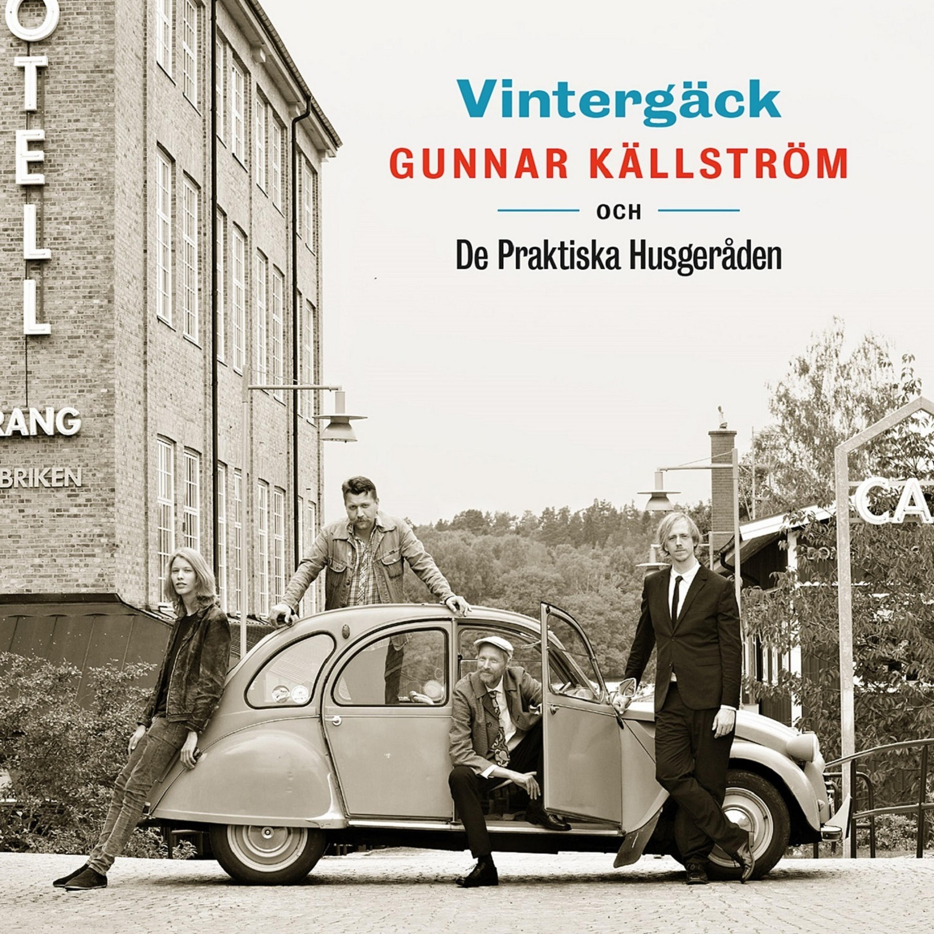 Постер альбома Vintergäck
