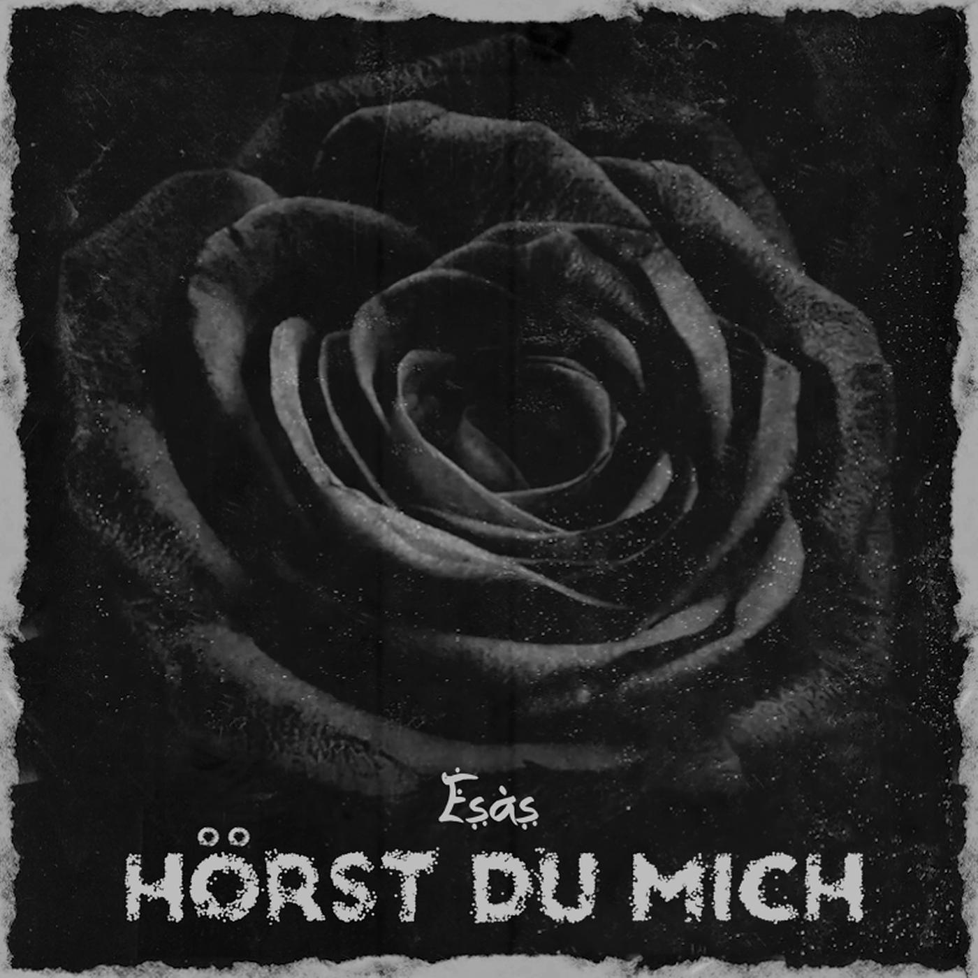 Постер альбома Hörst Du Mich