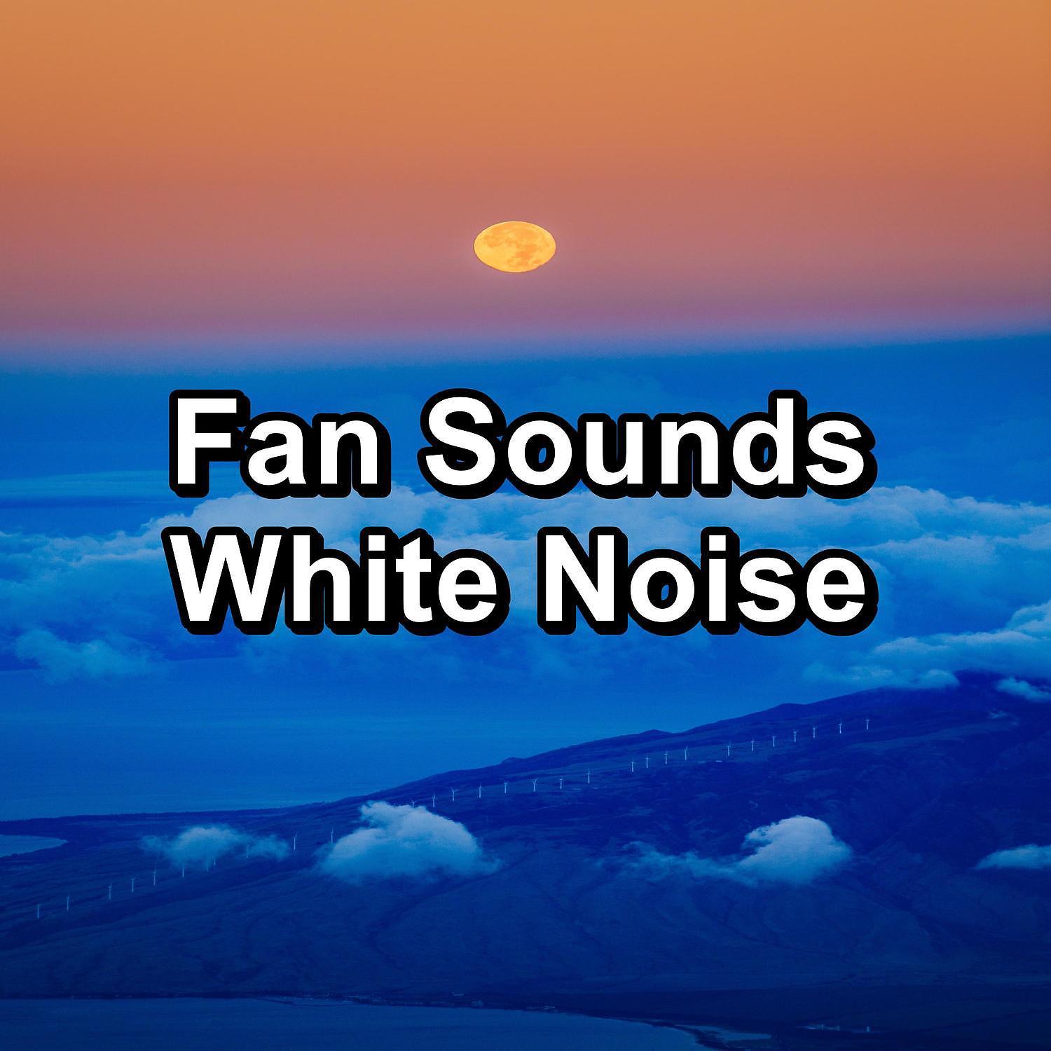 Постер альбома Fan Sounds White Noise