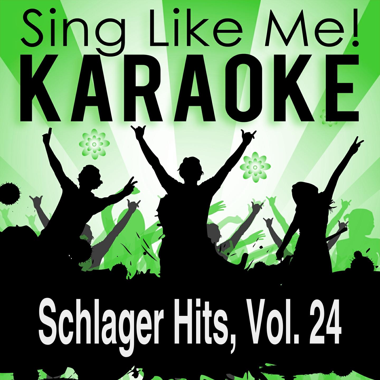 Постер альбома Schlager Hits, Vol. 24 (Karaoke Version)