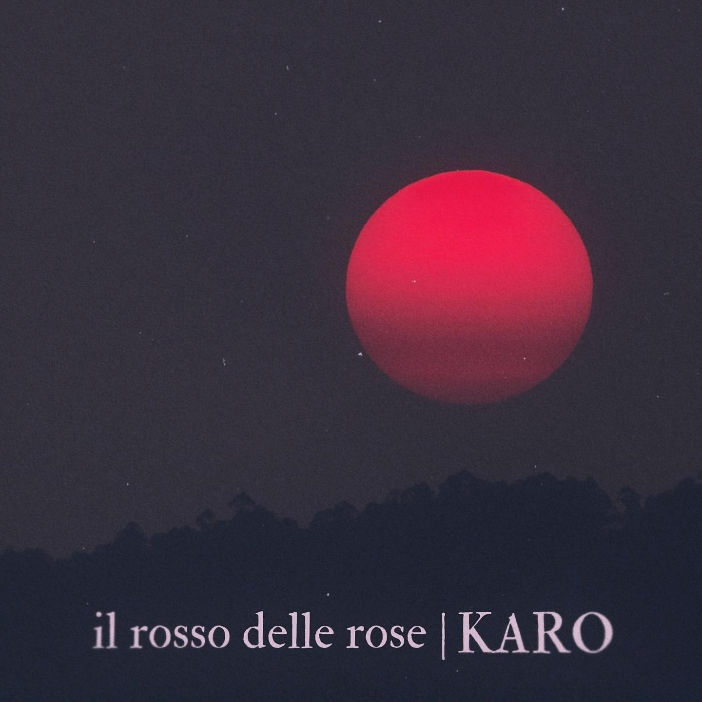 Постер альбома Il rosso delle rose
